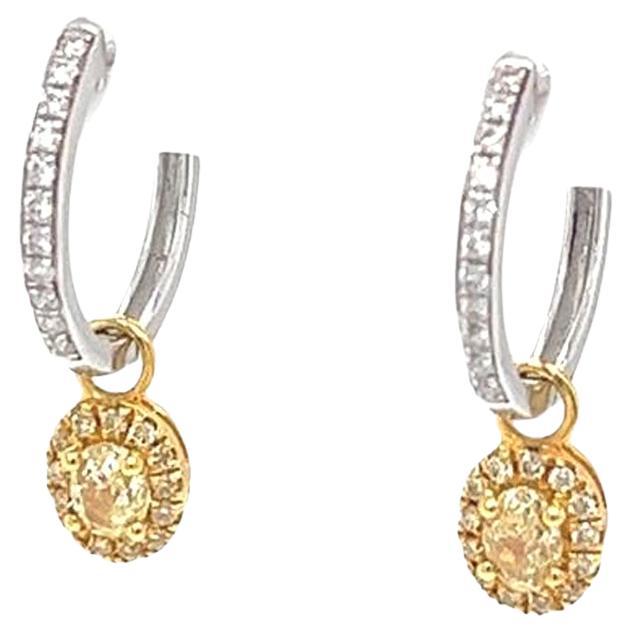 1.25ctw Natural Hoops Diamond Earrings with Yellow Fancy Diamonds 18k White Gold For Sale
