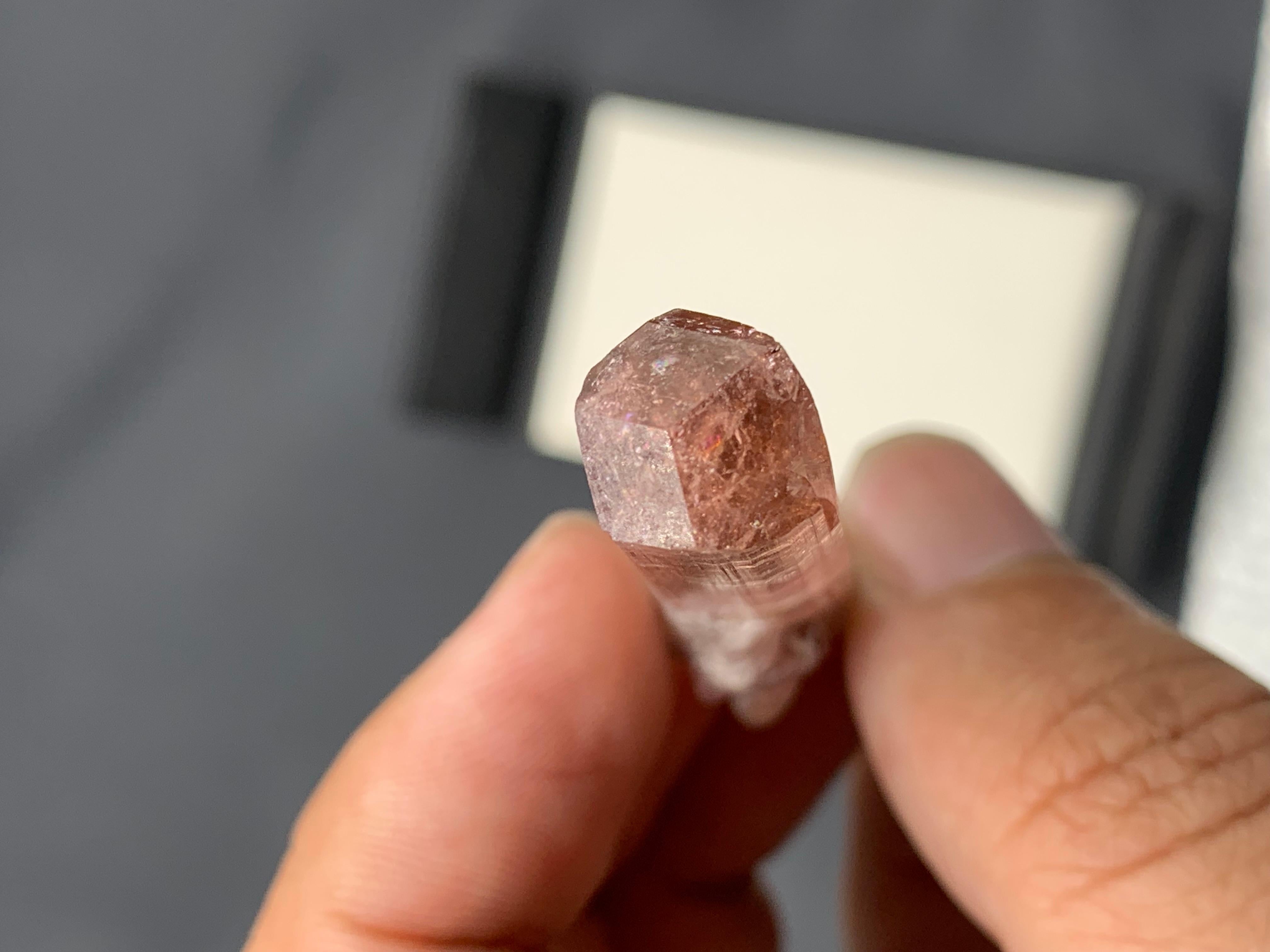12,62 Gramm natürliches pfirsichrosa Turmalin-Exemplar aus Afghanistan (Adamstil) im Angebot