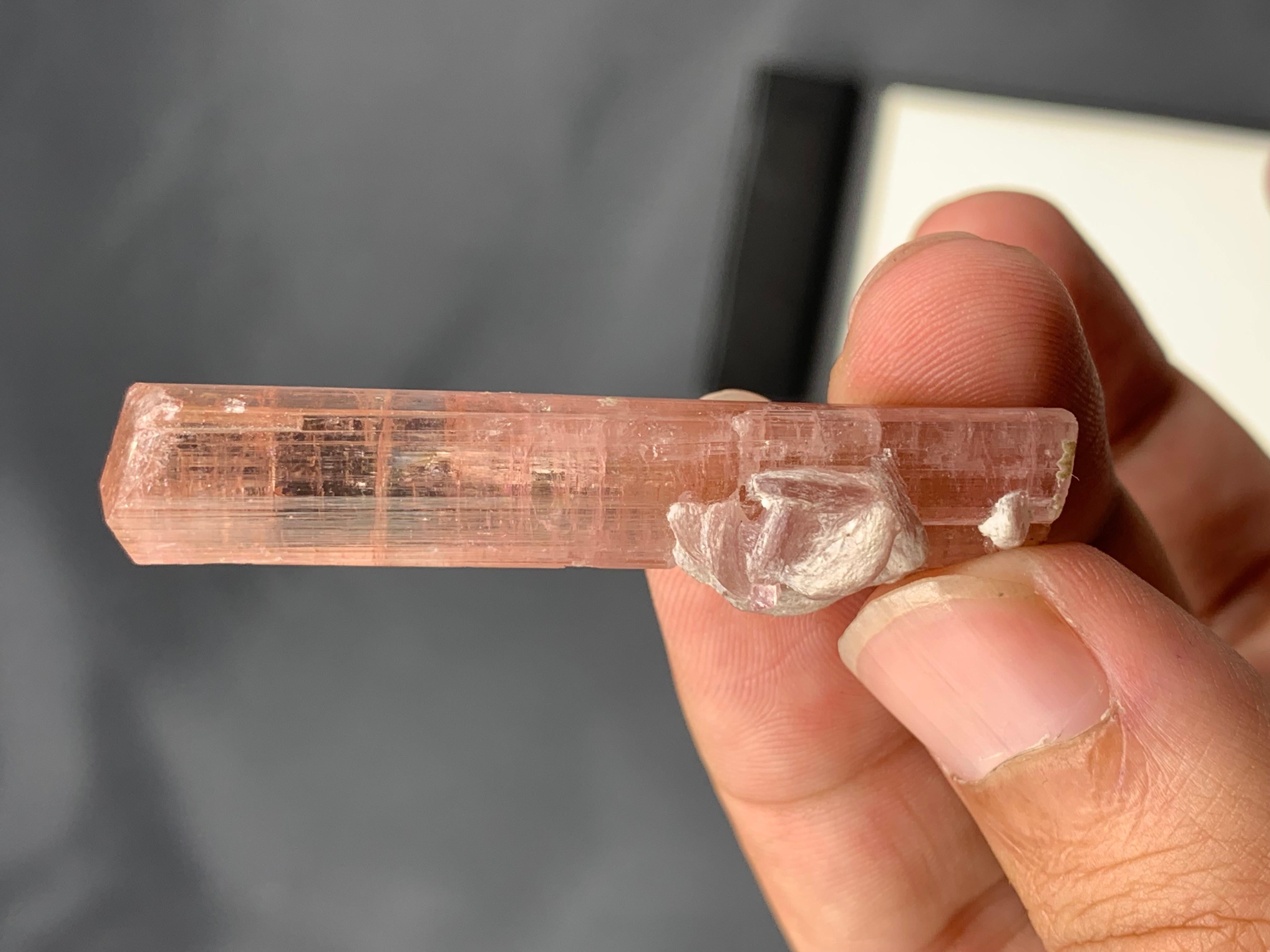 12,62 Gramm natürliches pfirsichrosa Turmalin-Exemplar aus Afghanistan (Sonstiges) im Angebot