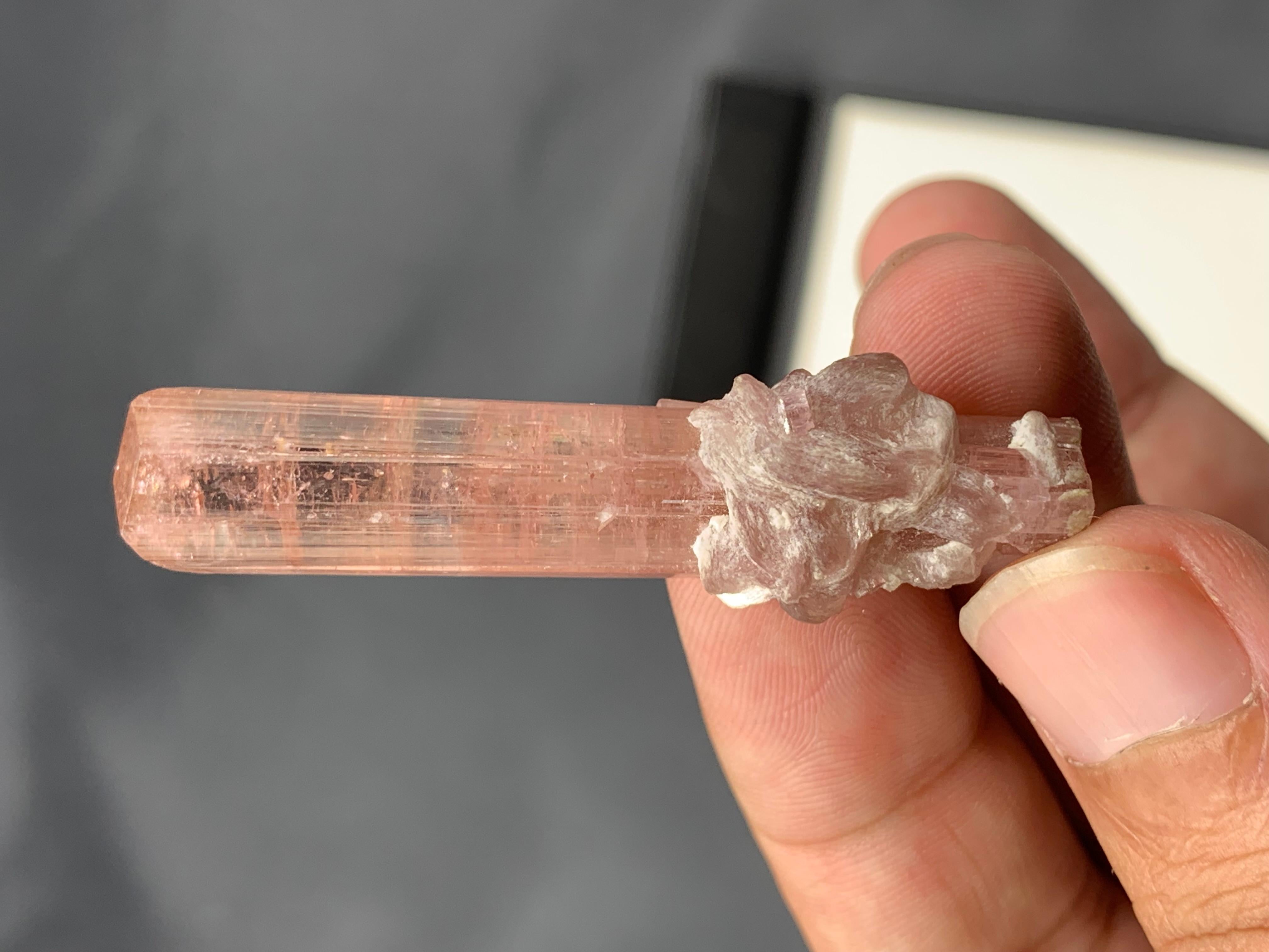 12,62 Gramm natürliches pfirsichrosa Turmalin-Exemplar aus Afghanistan im Angebot 1