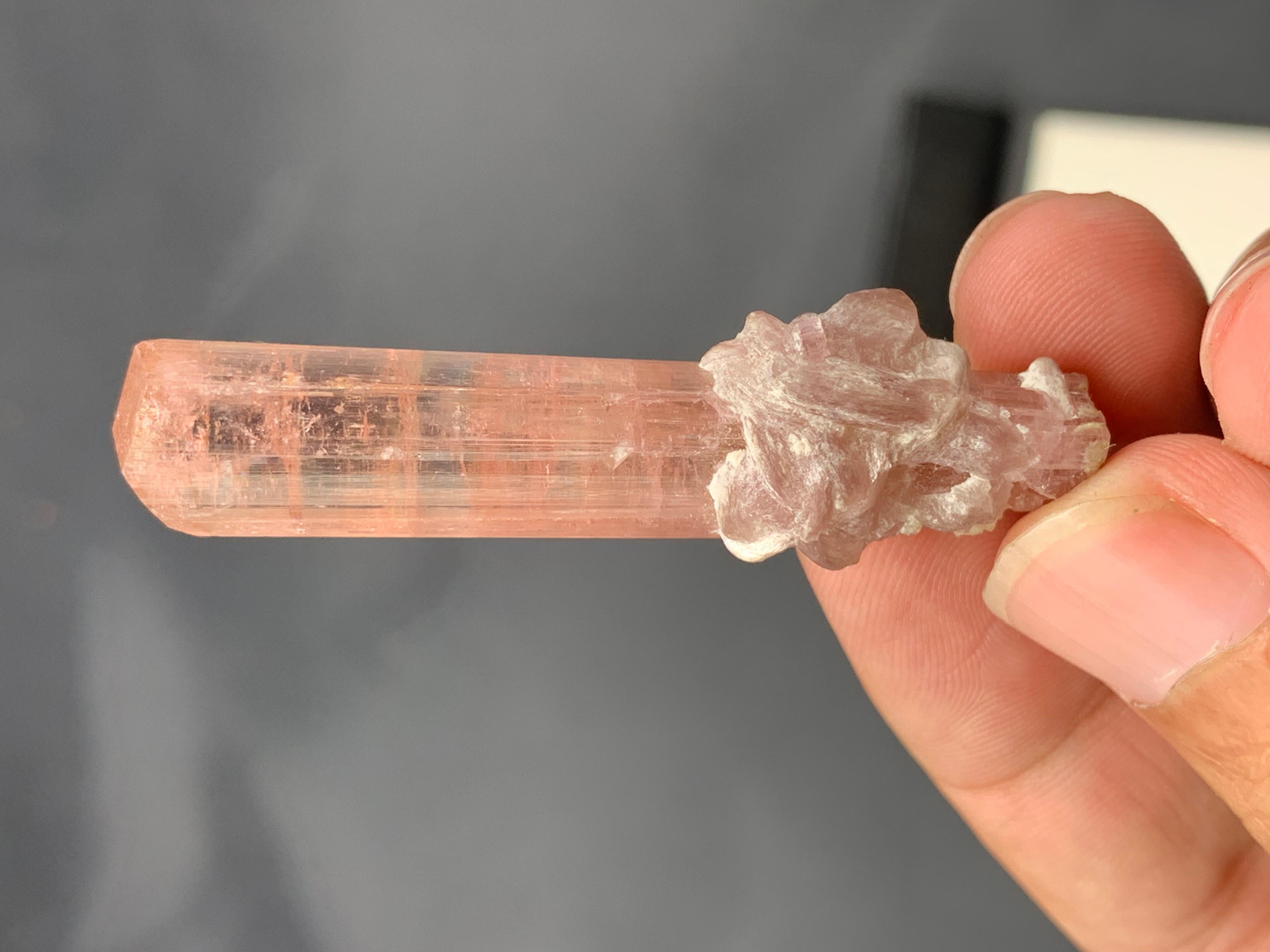 12,62 Gramm natürliches pfirsichrosa Turmalin-Exemplar aus Afghanistan im Angebot 2