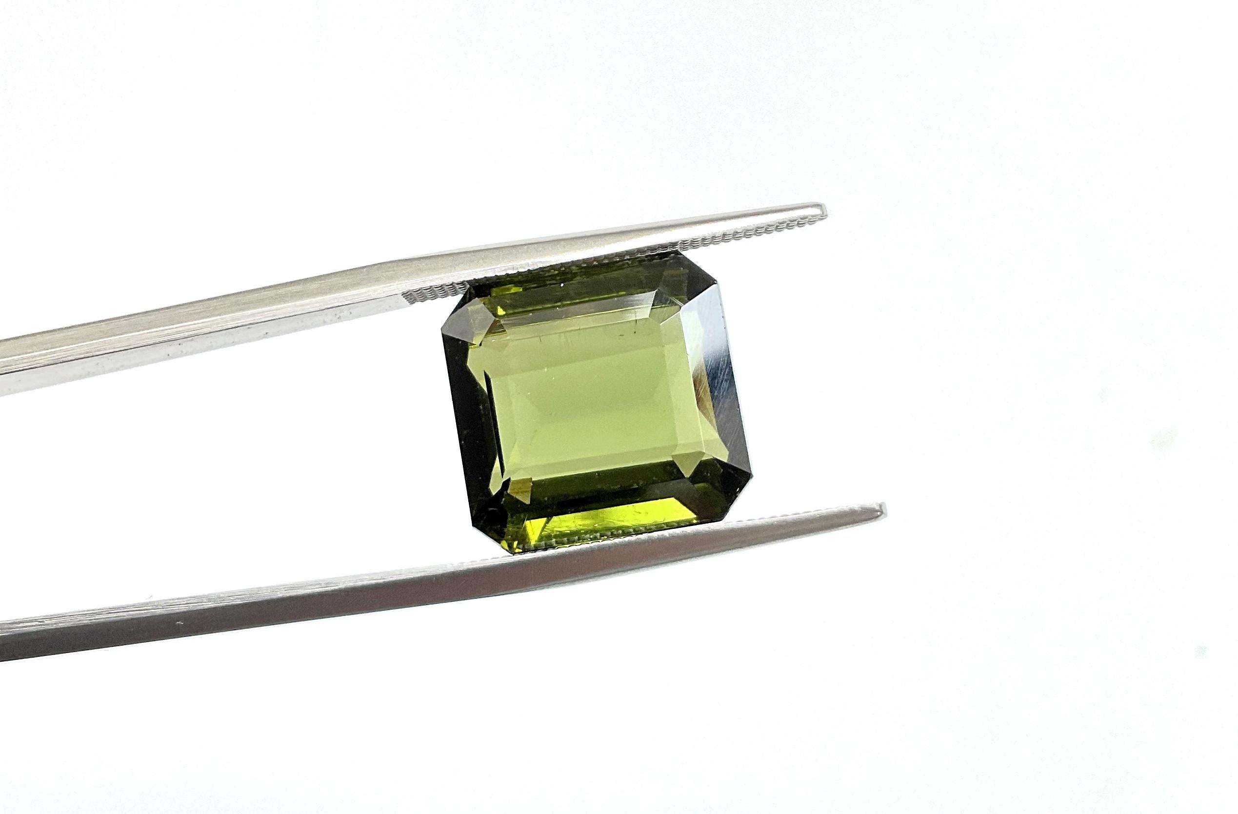 Pierre précieuse naturelle de tourmaline vert olive octogonale à facettes de 12.64 carats en vente 1