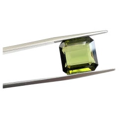 Pierre précieuse naturelle de tourmaline vert olive octogonale à facettes de 12.64 carats
