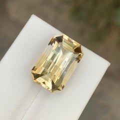 12.65 Carat Natural Loose Citrine Pixel Cut Gemstone