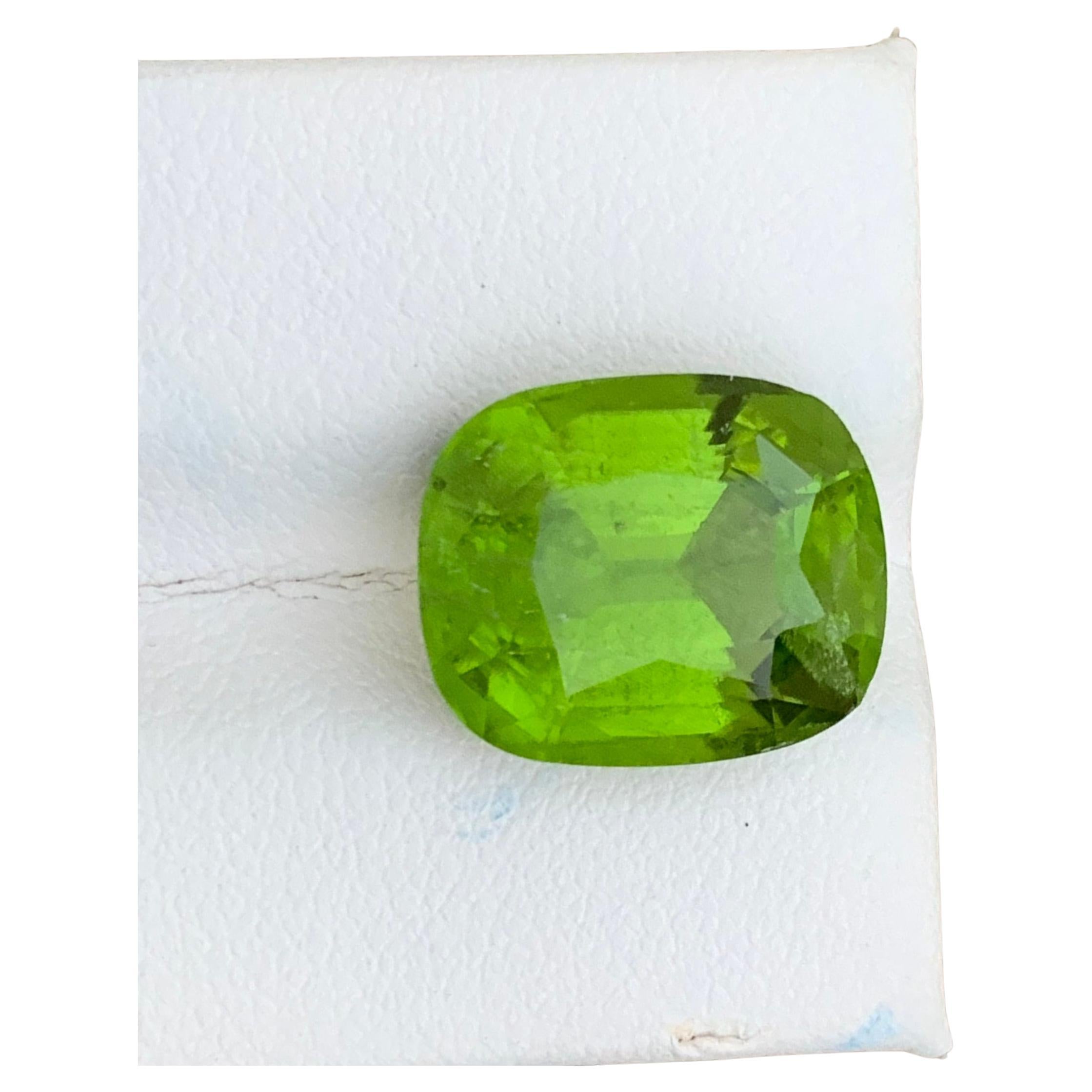 12,70 Karat natürlicher loser grüner Peridot für Halskette Schmuck