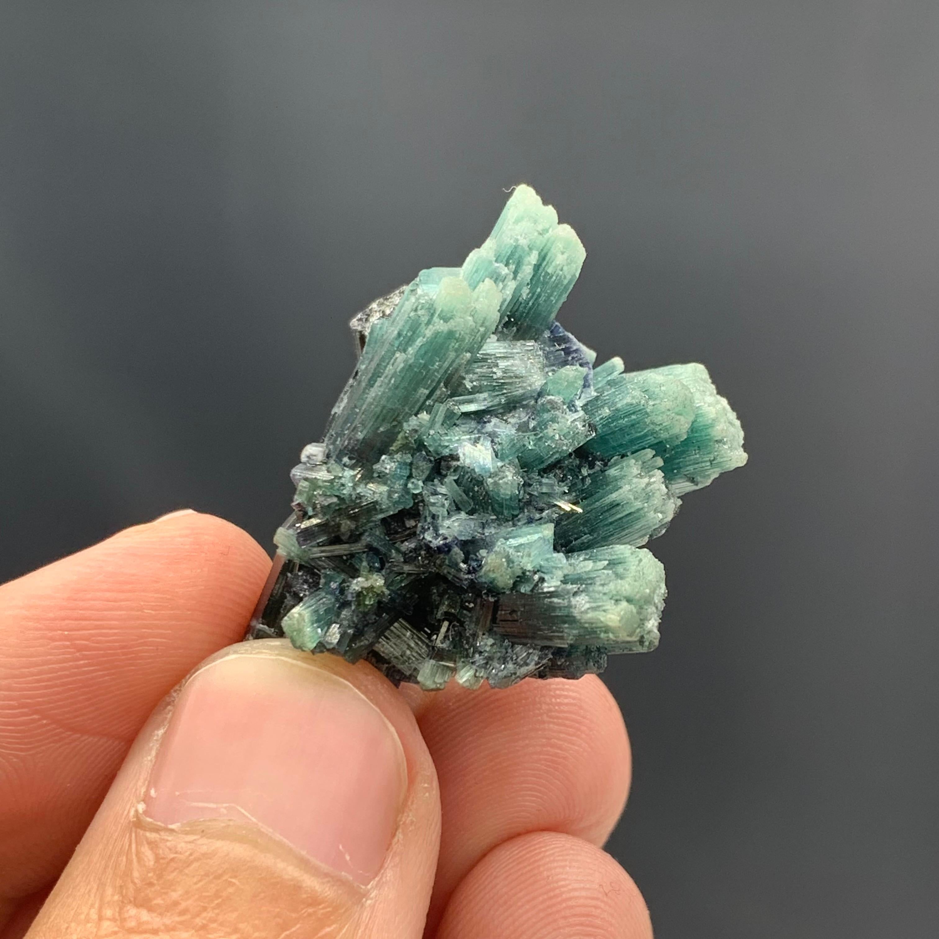 12.70 Gram Gorgeous Tourmaline Crystal Cluster From Kunar, Afghanistan  For Sale 3