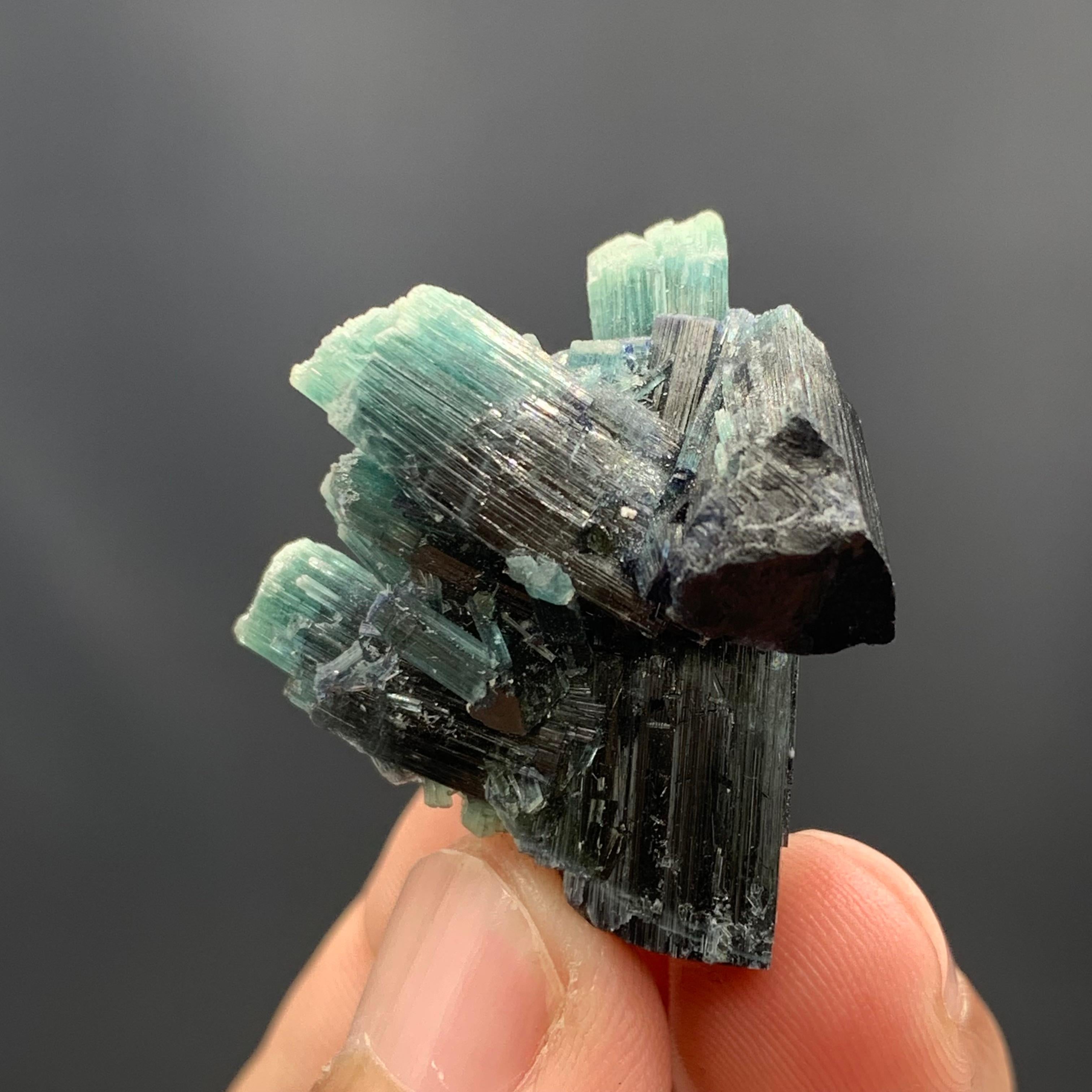 12.70 Gram Gorgeous Tourmaline Crystal Cluster From Kunar, Afghanistan  For Sale 4