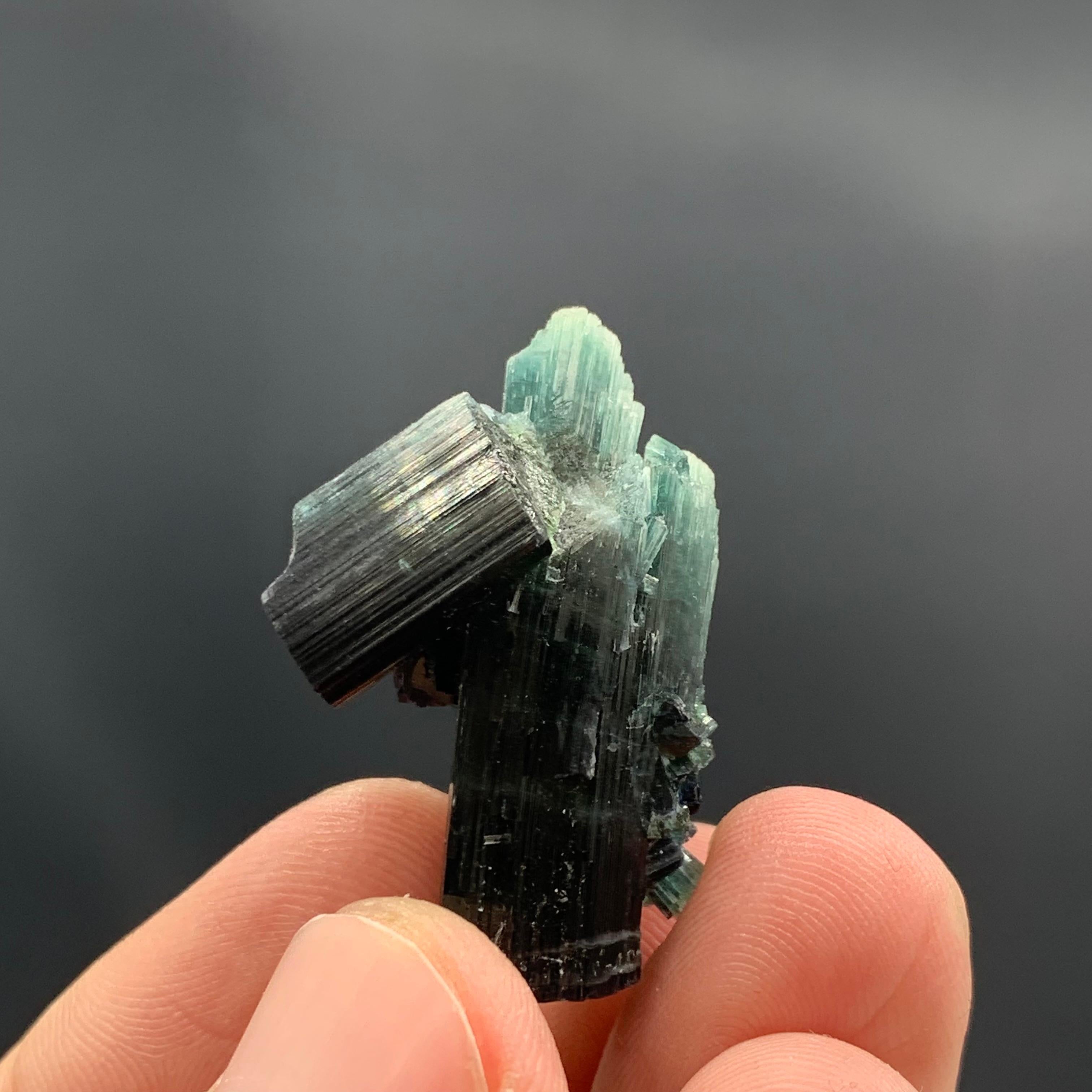 18th Century and Earlier 12.70 Gram Gorgeous Tourmaline Crystal Cluster From Kunar, Afghanistan  For Sale