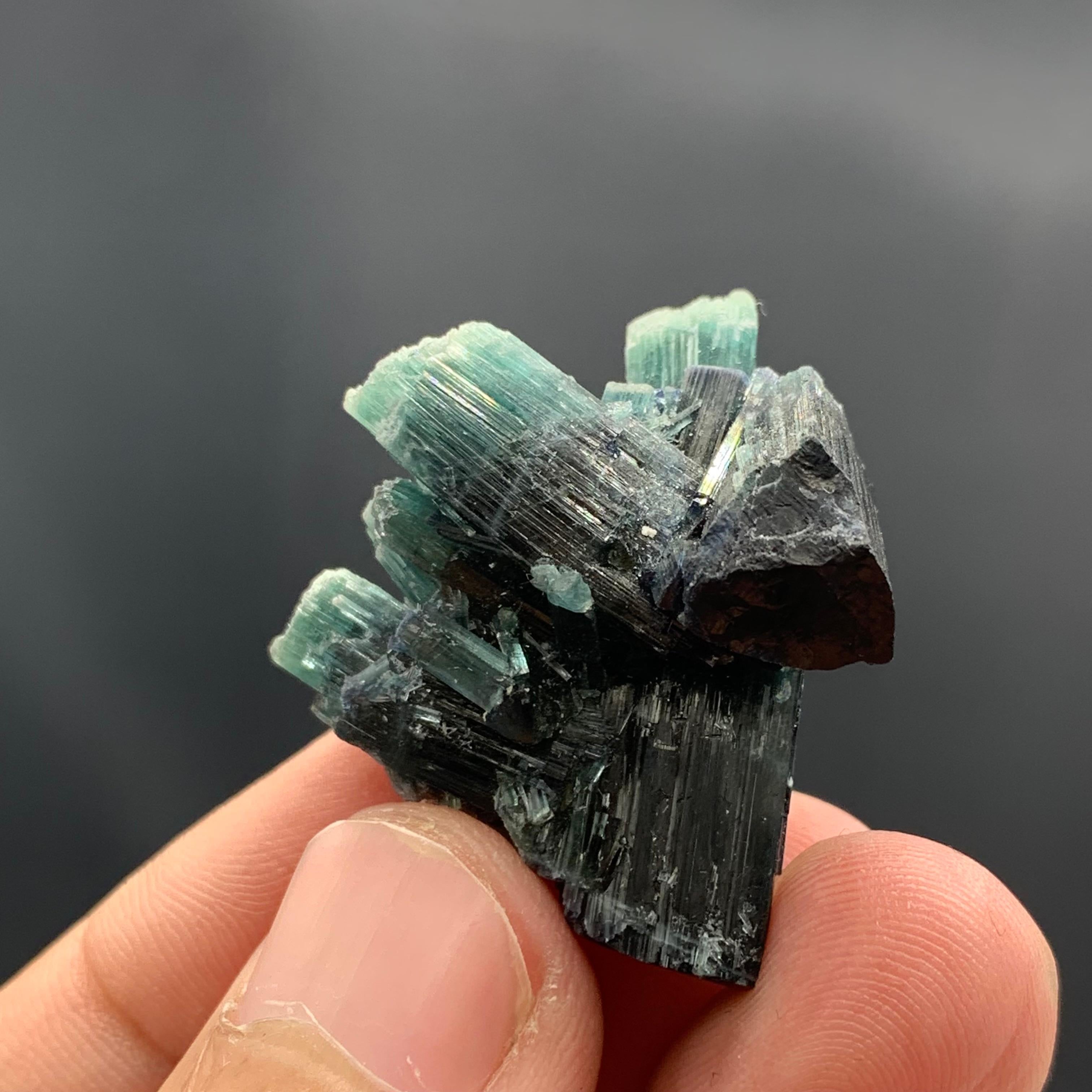Rock Crystal 12.70 Gram Gorgeous Tourmaline Crystal Cluster From Kunar, Afghanistan  For Sale