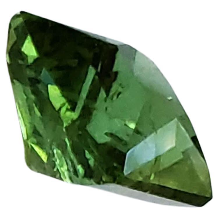 12.70ct Octagonal Cut Mint Green Tourmaline Loose Gemstone  In New Condition For Sale In Sheridan, WY