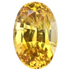 Pierre précieuse non sertie, saphir naturel jaune canari de 1,28 carat du Sri Lanka