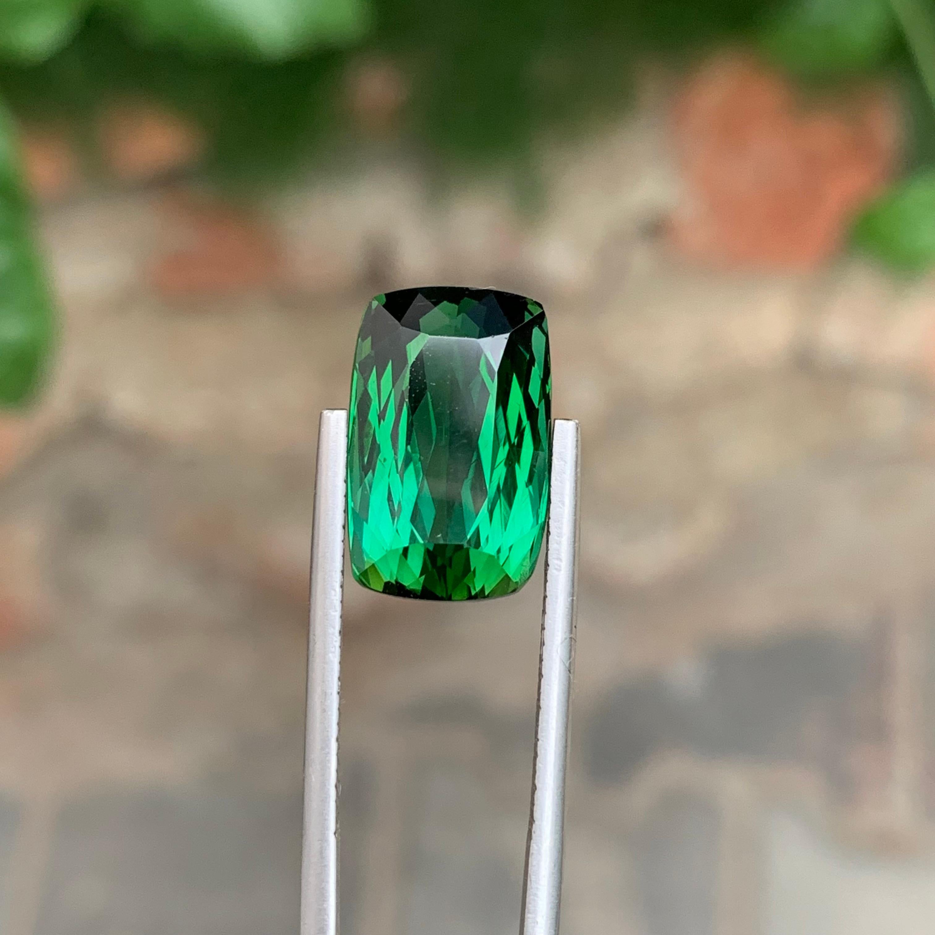 12,80 Karat Natürlicher Loser Vivid Grüner Turmalin Can Shape Edelstein aus Erdmine im Angebot 1