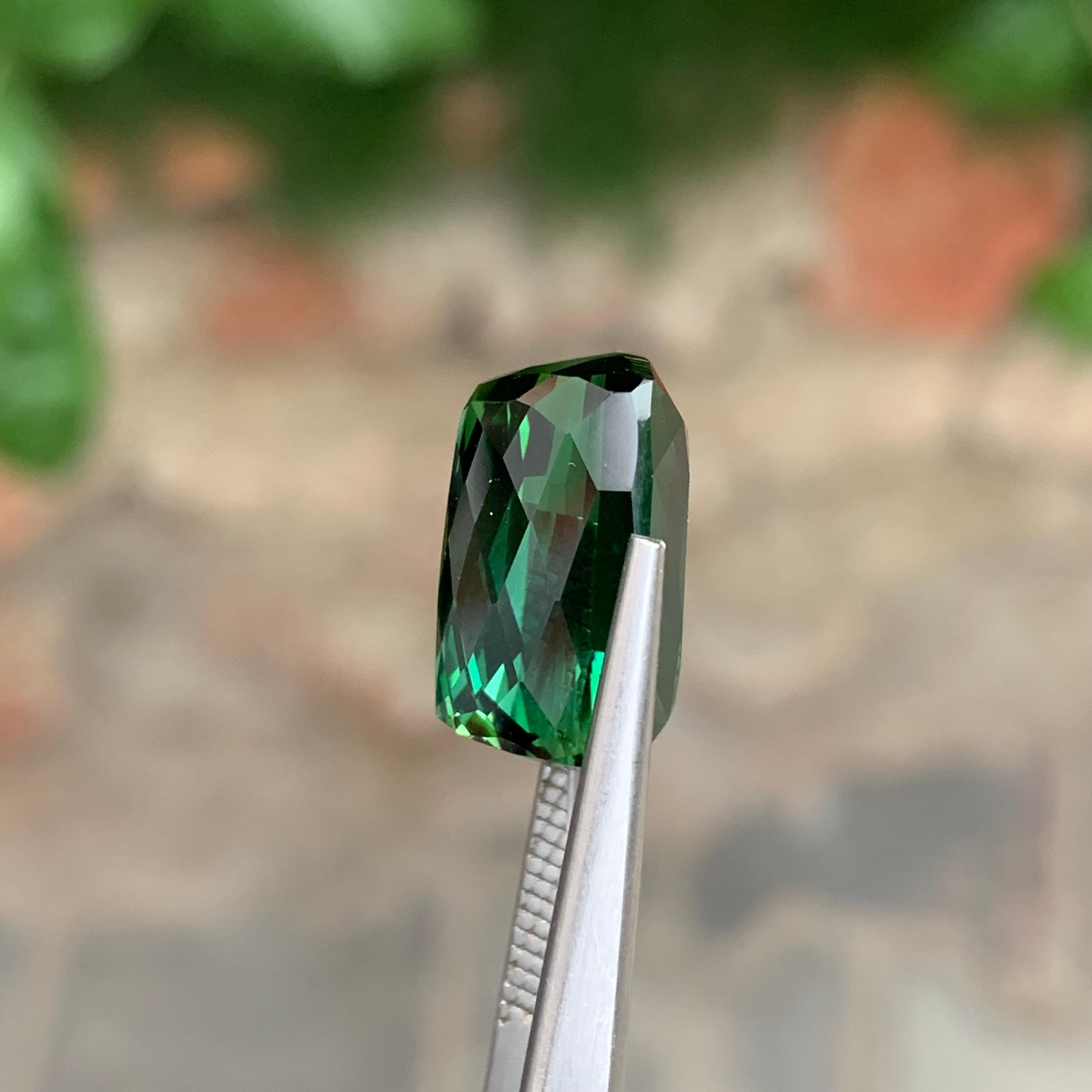 12,80 Karat Natürlicher Loser Vivid Grüner Turmalin Can Shape Edelstein aus Erdmine im Angebot 2