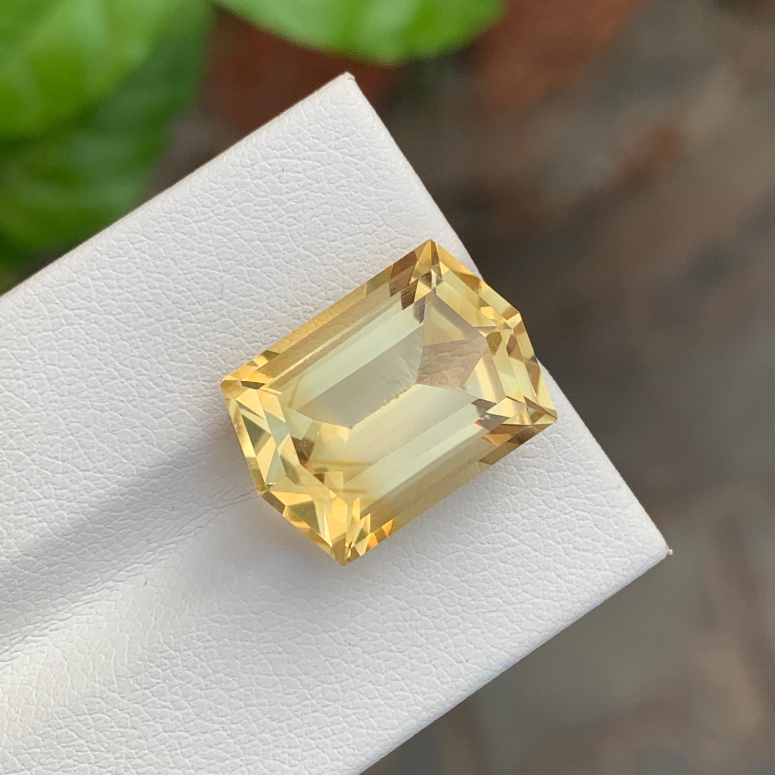 12.85 Carat Huge Natural Loose Yellow Citrine Hexagon Cut Gemstone For Necklace For Sale 5