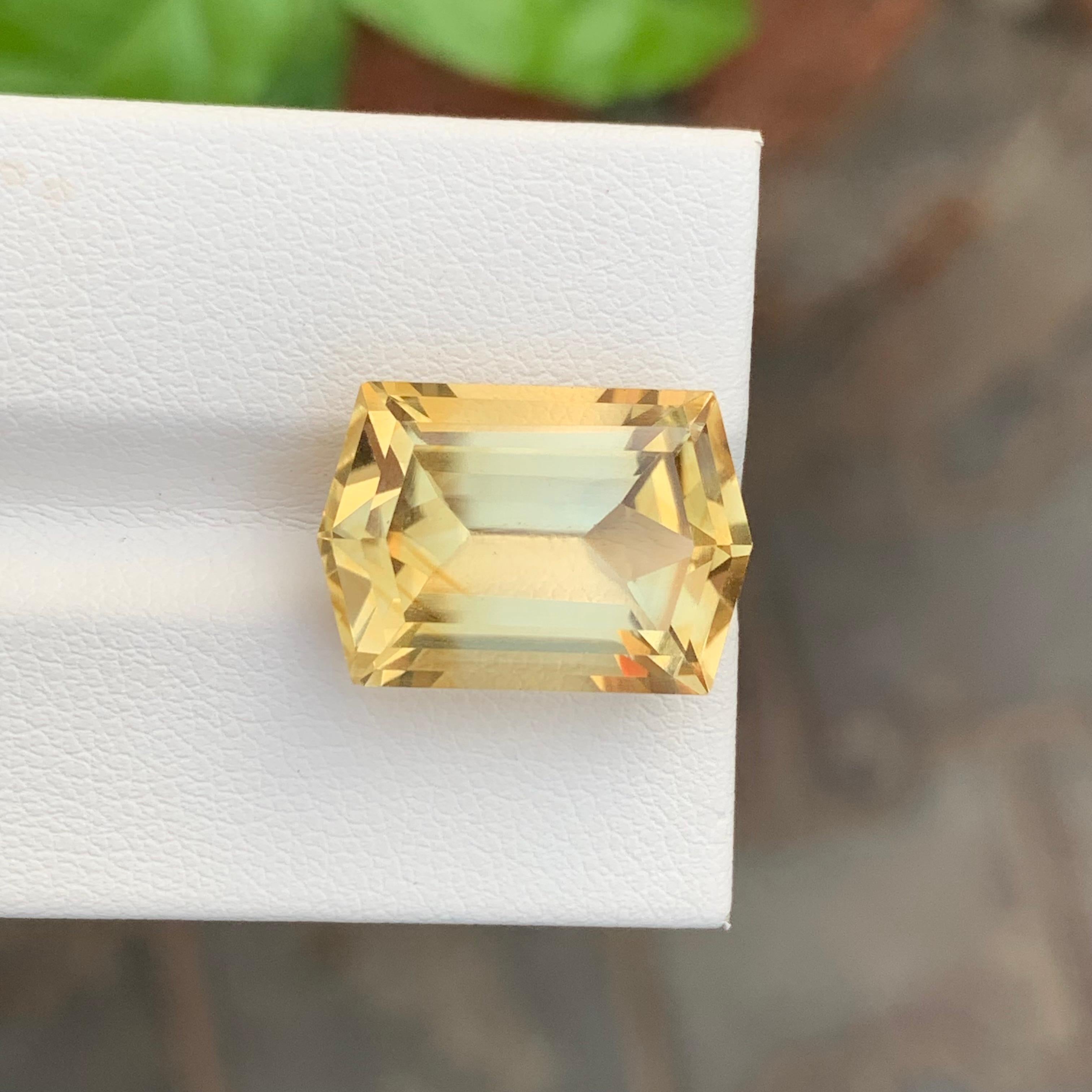 12.85 Carat Huge Natural Loose Yellow Citrine Hexagon Cut Gemstone For Necklace For Sale 2