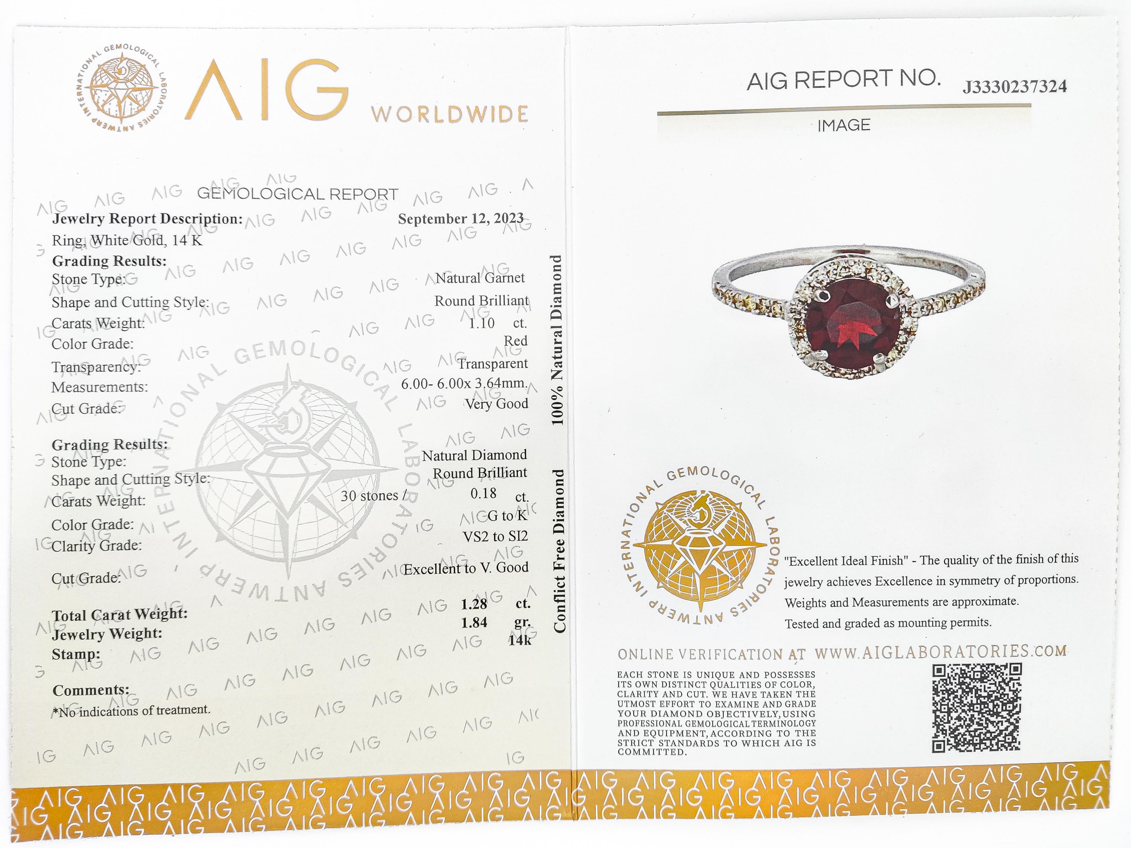 NO RESERVE 1.28CTW Garnet and Diamond Engagement Ring 14K White Gold For Sale 3