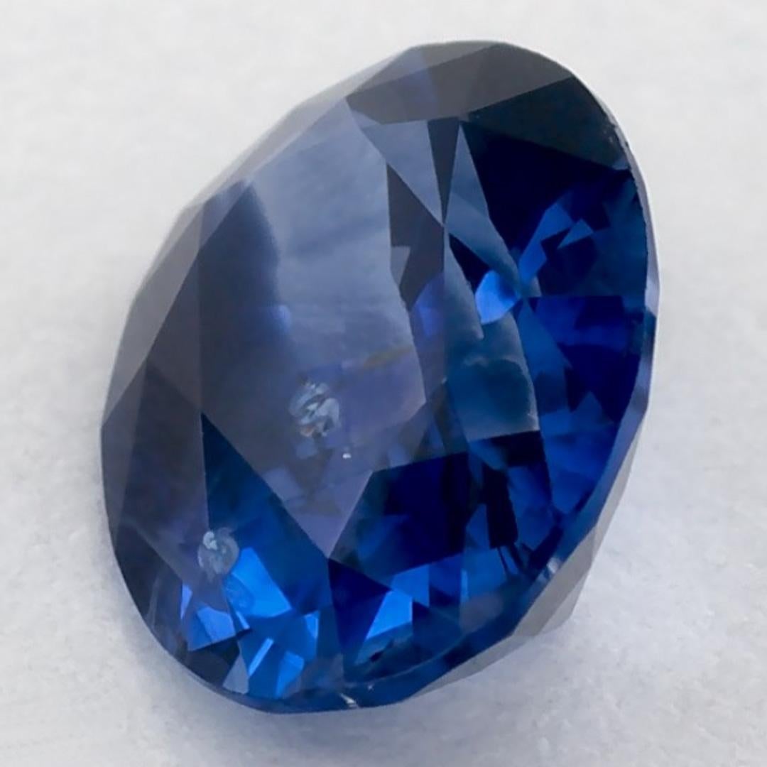 1.29 Karat Blauer Saphir Oval Loser Edelstein (Ovalschliff) im Angebot