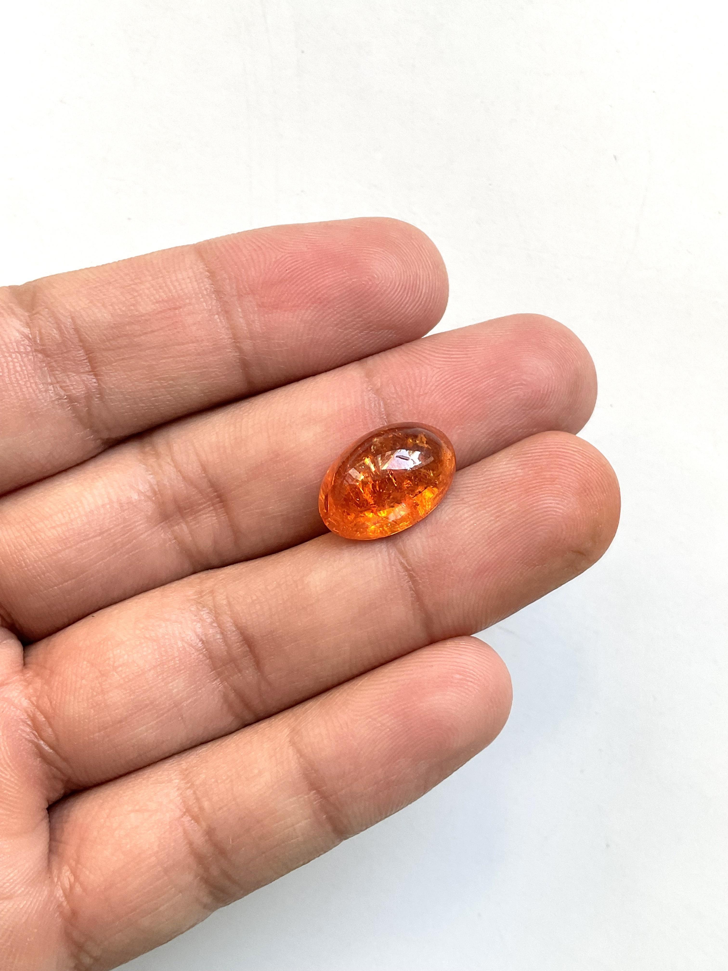 12,96 Carati di Granato Fanta Spessartite Cabochon ovale di qualità superiore Nature in vendita 1