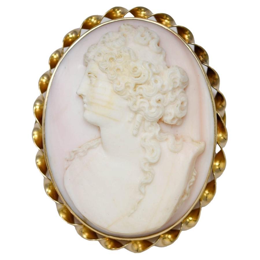 12K Gelbgold Antik geschnitzt Cameo Shell Brosche