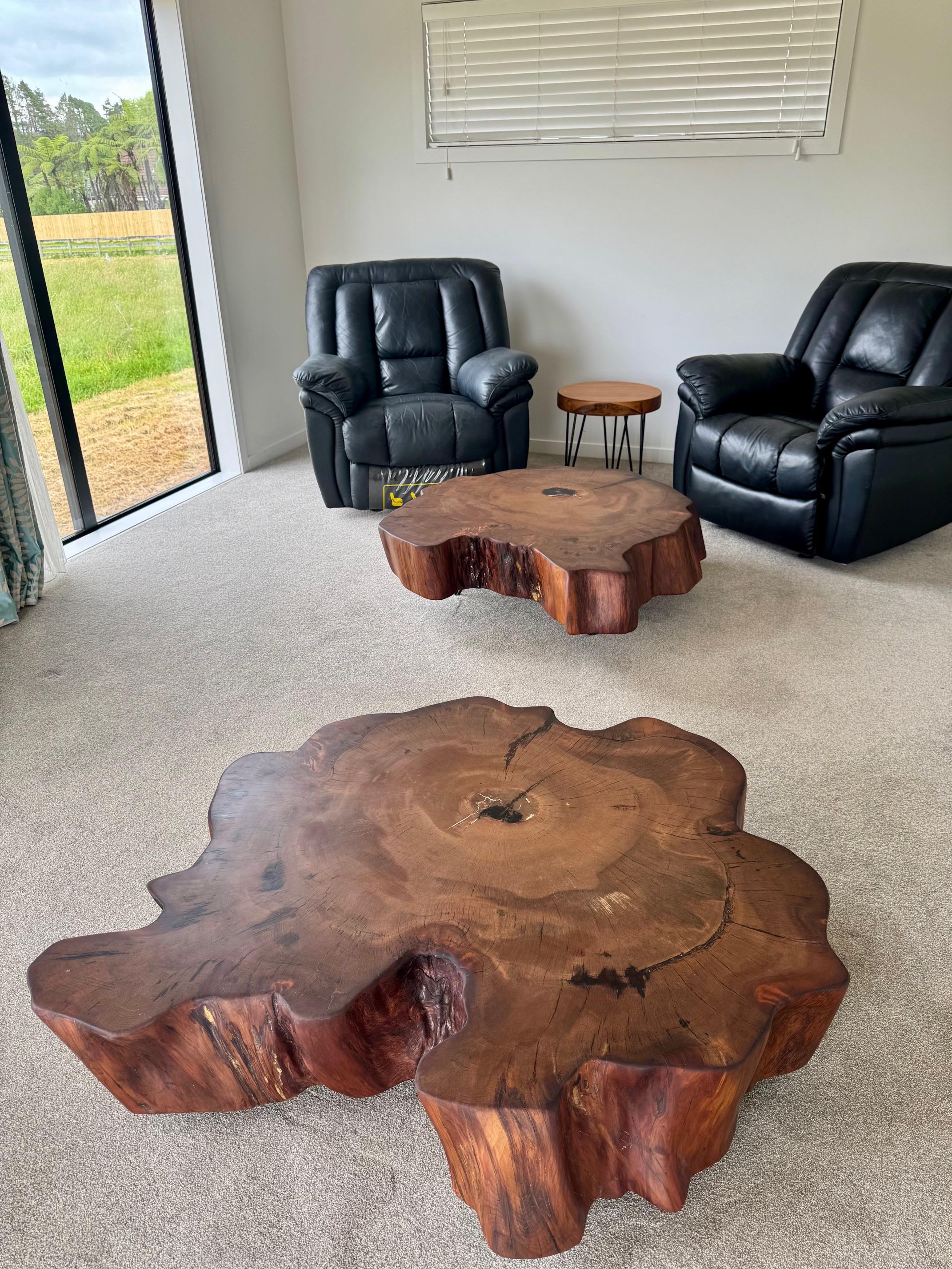 Pour l'édition limitée, THE TITANS est une série de tables de souche Ancient Kauri à collectionner. Chaque TITAN est accompagné d'un certificat d'authenticité.

Le Kauri ancien ou Kauri des marais fait référence aux forêts préhistoriques de Kauri,