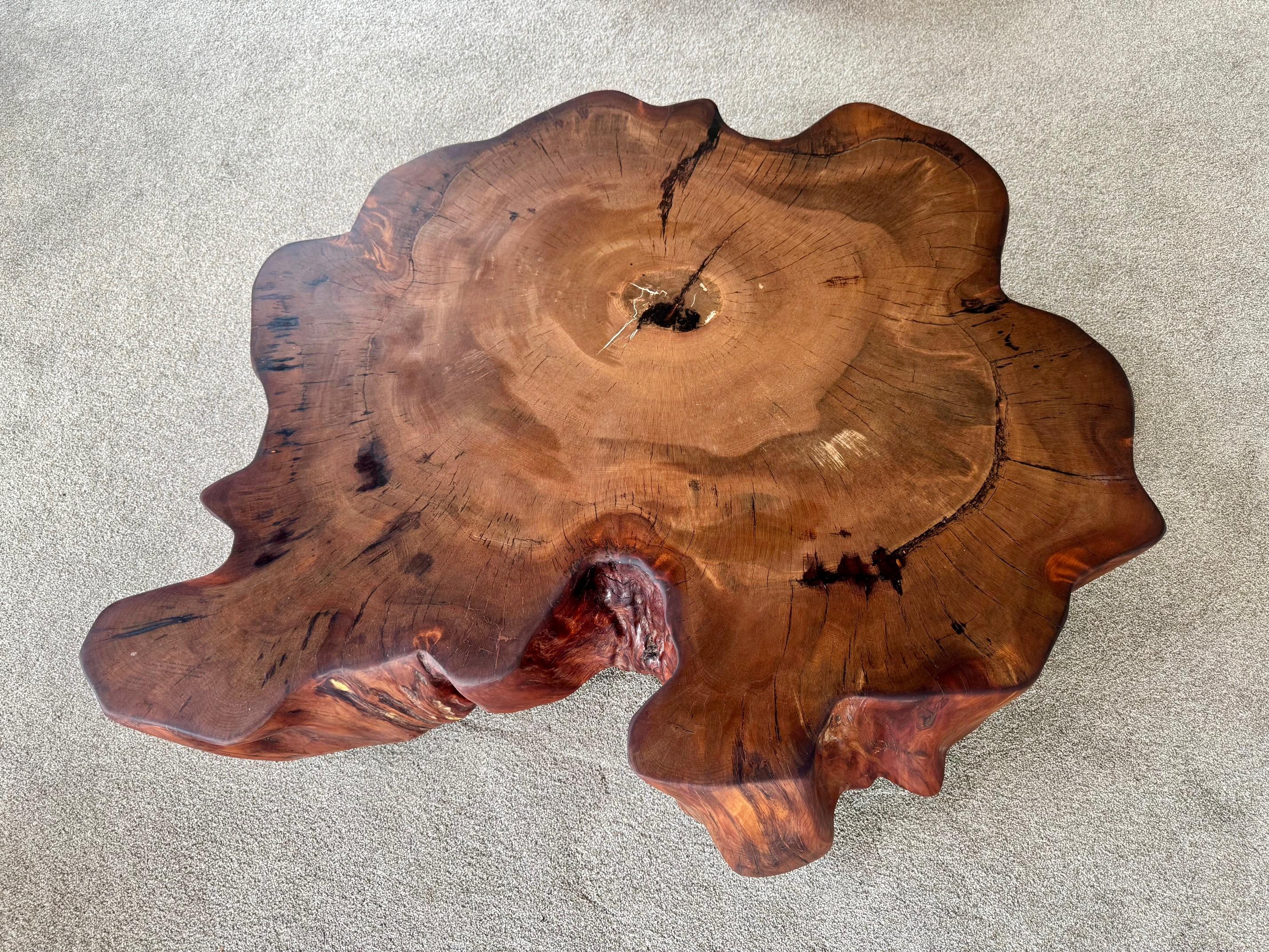 Nouvelle-Zélande 1.2m Kauri Coffee Table in Solid Ancient Kauri Wood en vente