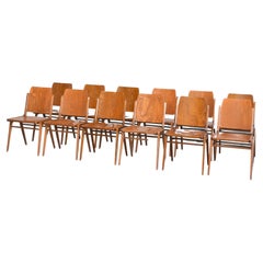 12Set of Original Austro Chairs by Franz Schuster for Wiesner Hager, Austria, 1959
