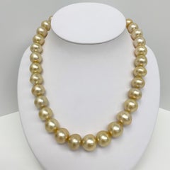 South Sea Medium Golden Button Pearl Necklace with Gold Clasp