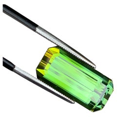 13 carats Emerald Cut Forest Green Color Natural Tourmaline for Jewellery 20 mm