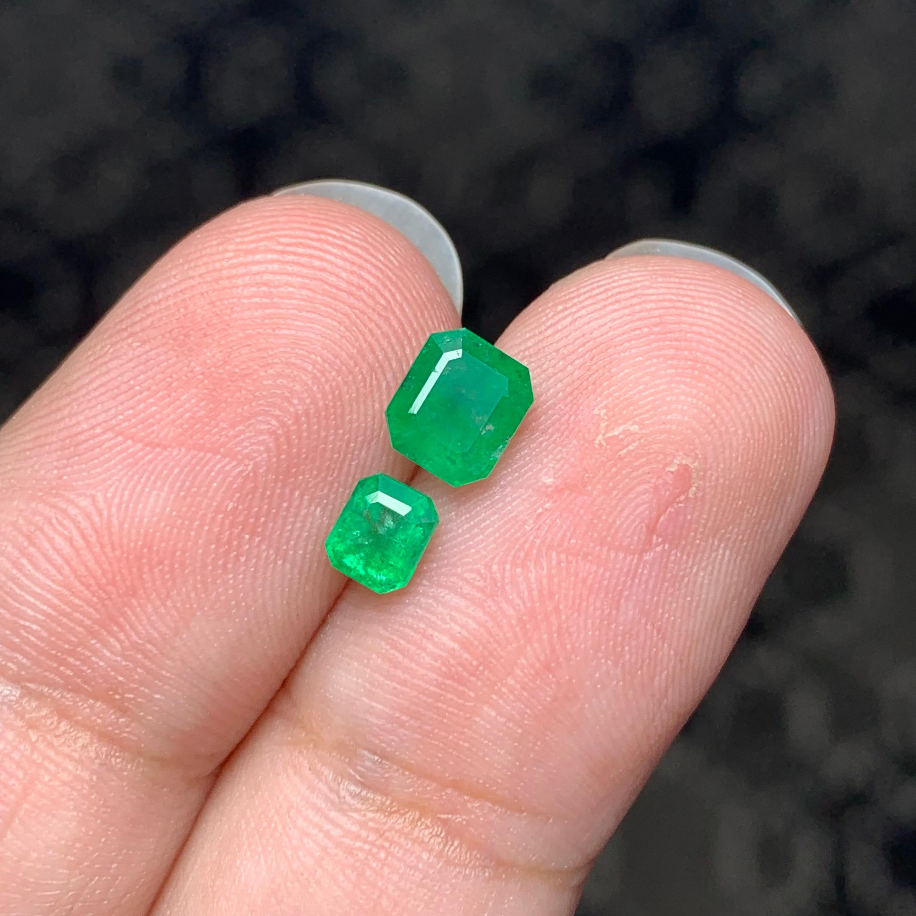 1,30 Karat prächtiger natürlicher facettierter Dual-Smaragd-Edelstein für Schmuck im Angebot 2