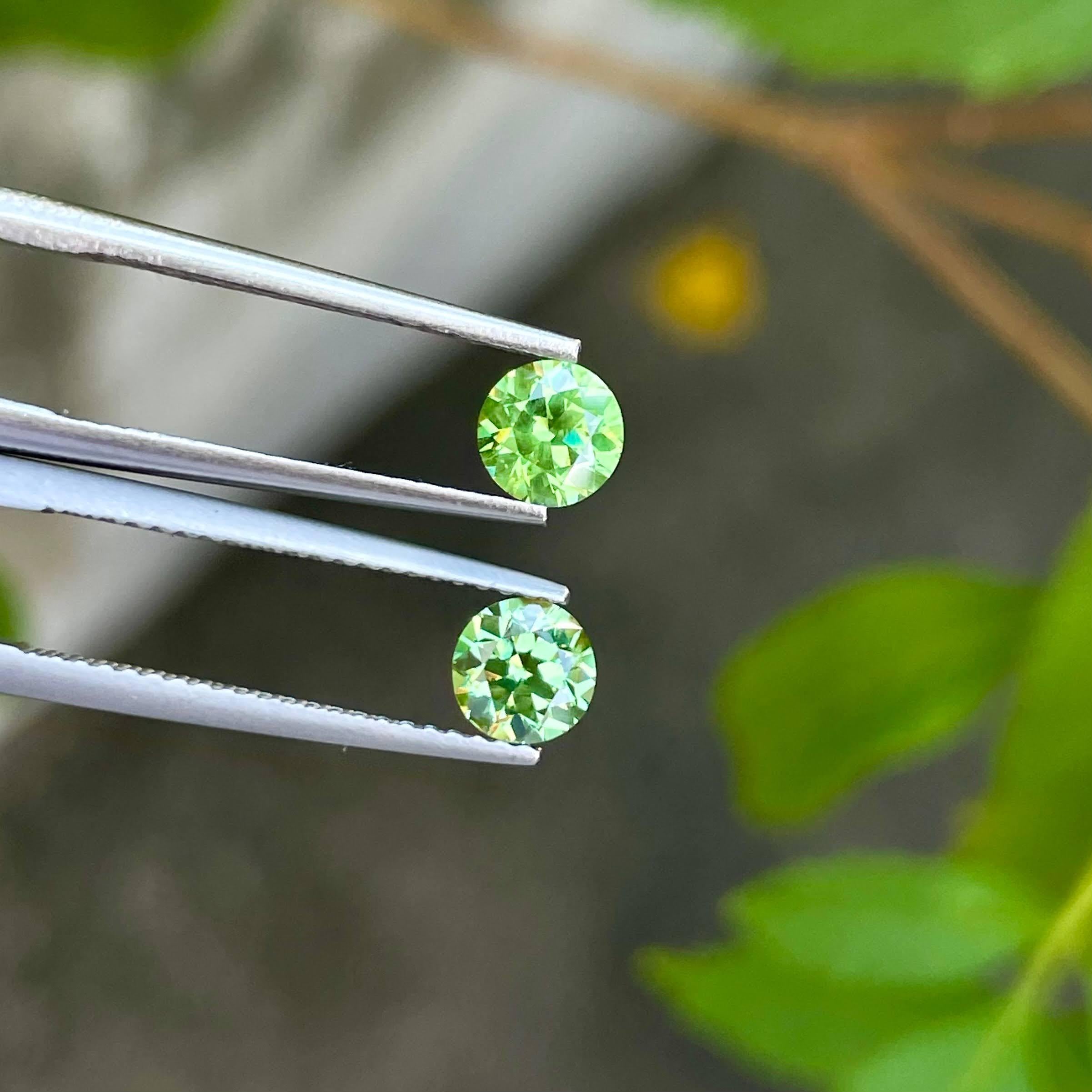 Weight 1.30 carats 
Dimensions 5.20x5.18x3.5 mm
Treatment none 
Origin Russia 
Clarity VVS or better 
Shape round 
Cut round brilliant 




Behold the exquisite allure of a 1.30-carat pair of Brilliant Round Cut Natural Russian Demantoid Garnets, a