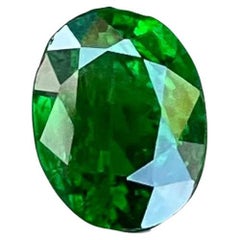1,30 Karat Grüner Tsavorit Granat Stein Ovalschliff Natürlicher Edelstein aus Kenia