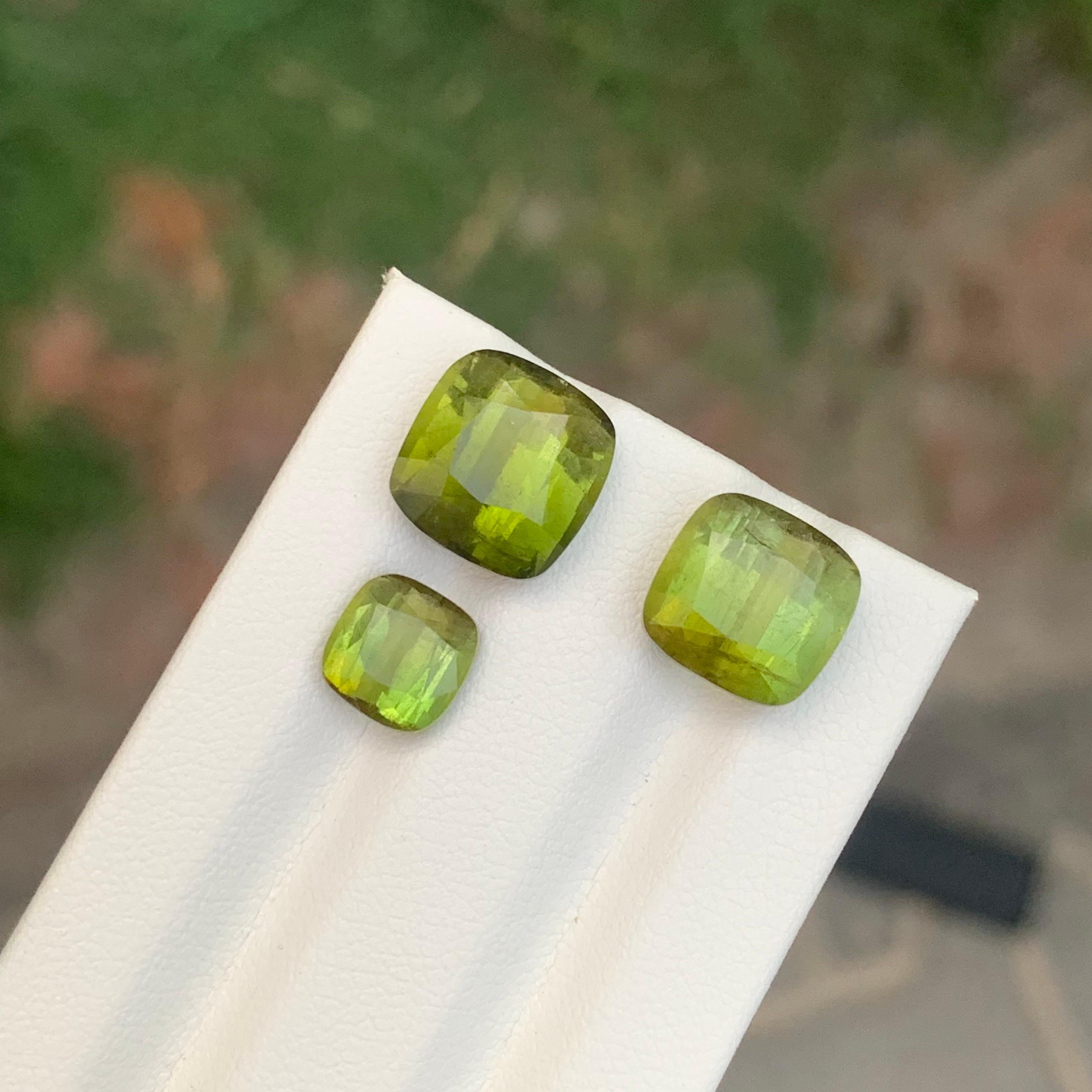 Set di tormaline sfaccettate 

Peso: 13,05 Carati
Dimensioni: da 2,15 a 5,65 carati 
Colore: Verde 
Origine: Afghanistan
Trattamento: Non
Certificato: Su richiesta del cliente


La tormalina è una gemma affascinante nota per la sua notevole varietà