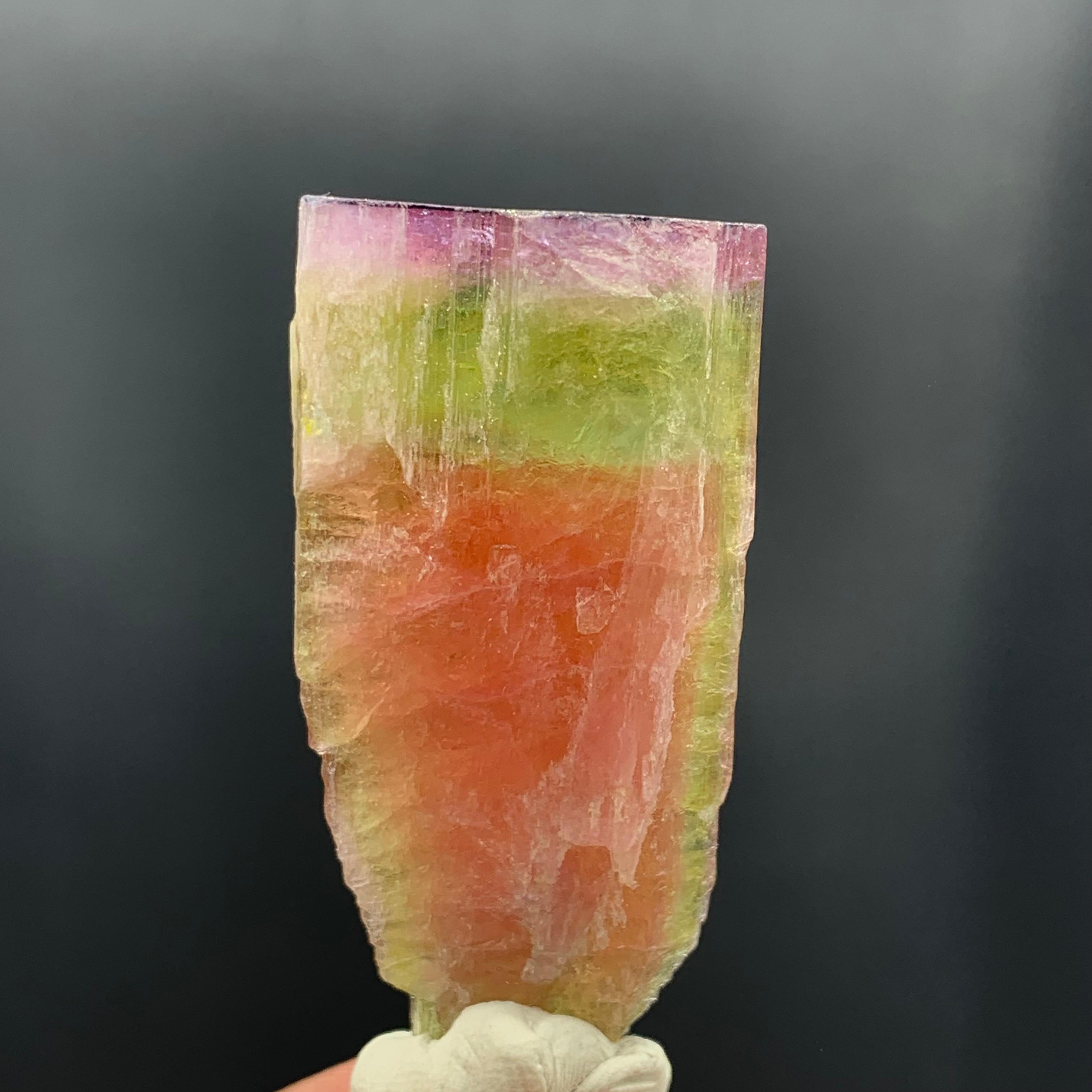 Other 130.60 Carat Stunning Tri Color Tourmaline Crystal from Paprok Mine Afghanistan For Sale
