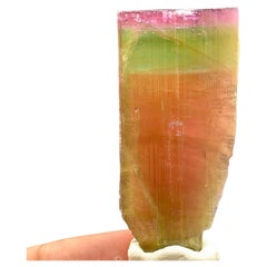 130.60 Carat Stunning Tri Color Tourmaline Crystal from Paprok Mine Afghanistan