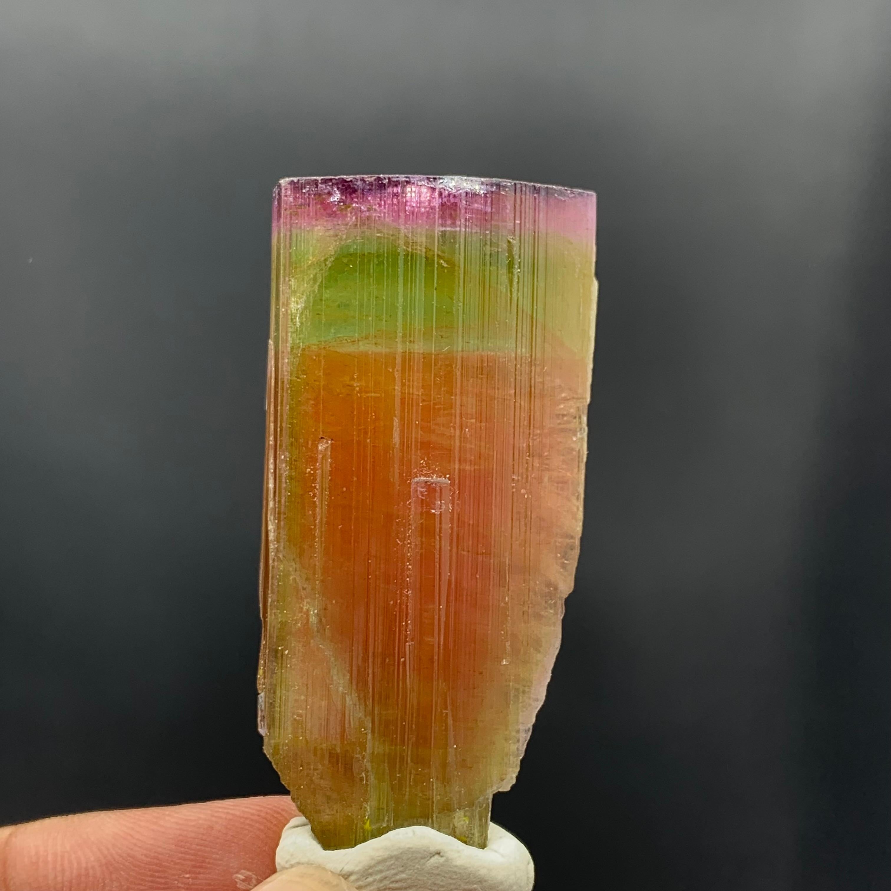 130.60 Carat Stunning Tri Color Tourmaline Crystal from Paprok Mine Afghanistan In Good Condition For Sale In Peshawar, PK