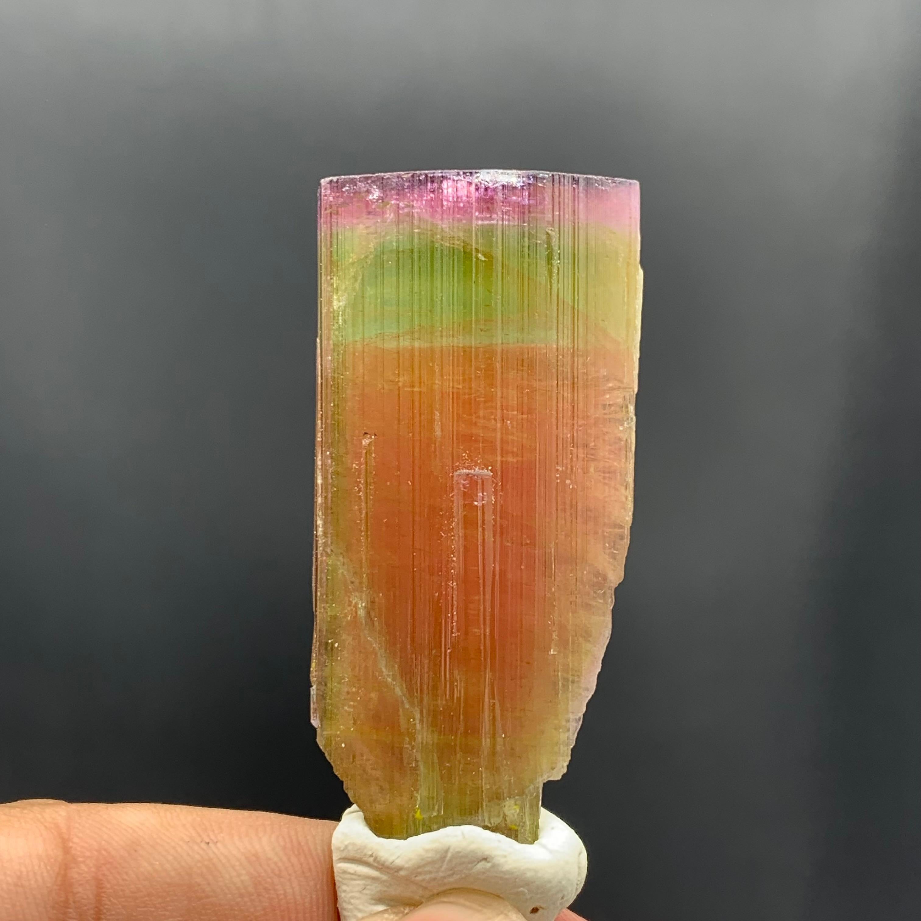 130.60 Carat Stunning Tri Color Tourmaline Crystal from Paprok Mine Afghanistan For Sale 2