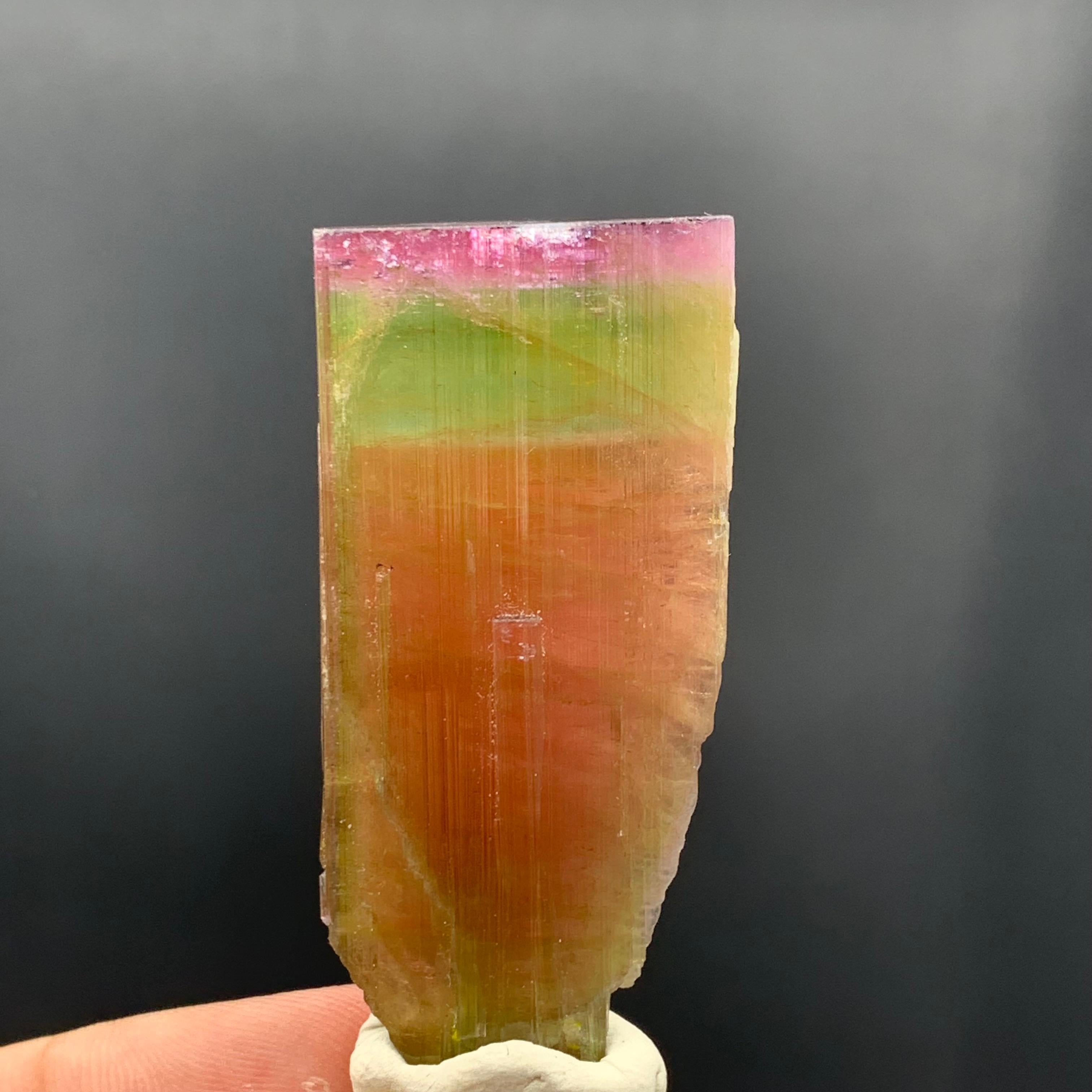 130.60 Carat Stunning Tri Color Tourmaline Crystal from Paprok Mine Afghanistan For Sale 3