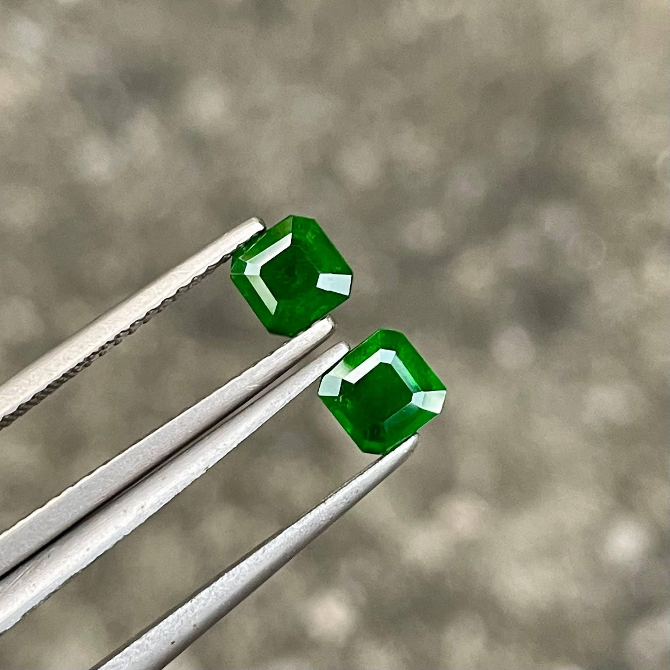 Peso 1,31 carati 
Dimensioni 4.9x4.8x3.2 mm
Trattamento nessuno 
Origine Pakistan 
Chiarezza SI 
Forma ottagonale 
Tagliare Asscher 



Questa squisita coppia di Granati Demantoidi Verdi, per un totale di 1.31 carati, mostra una rara bellezza e