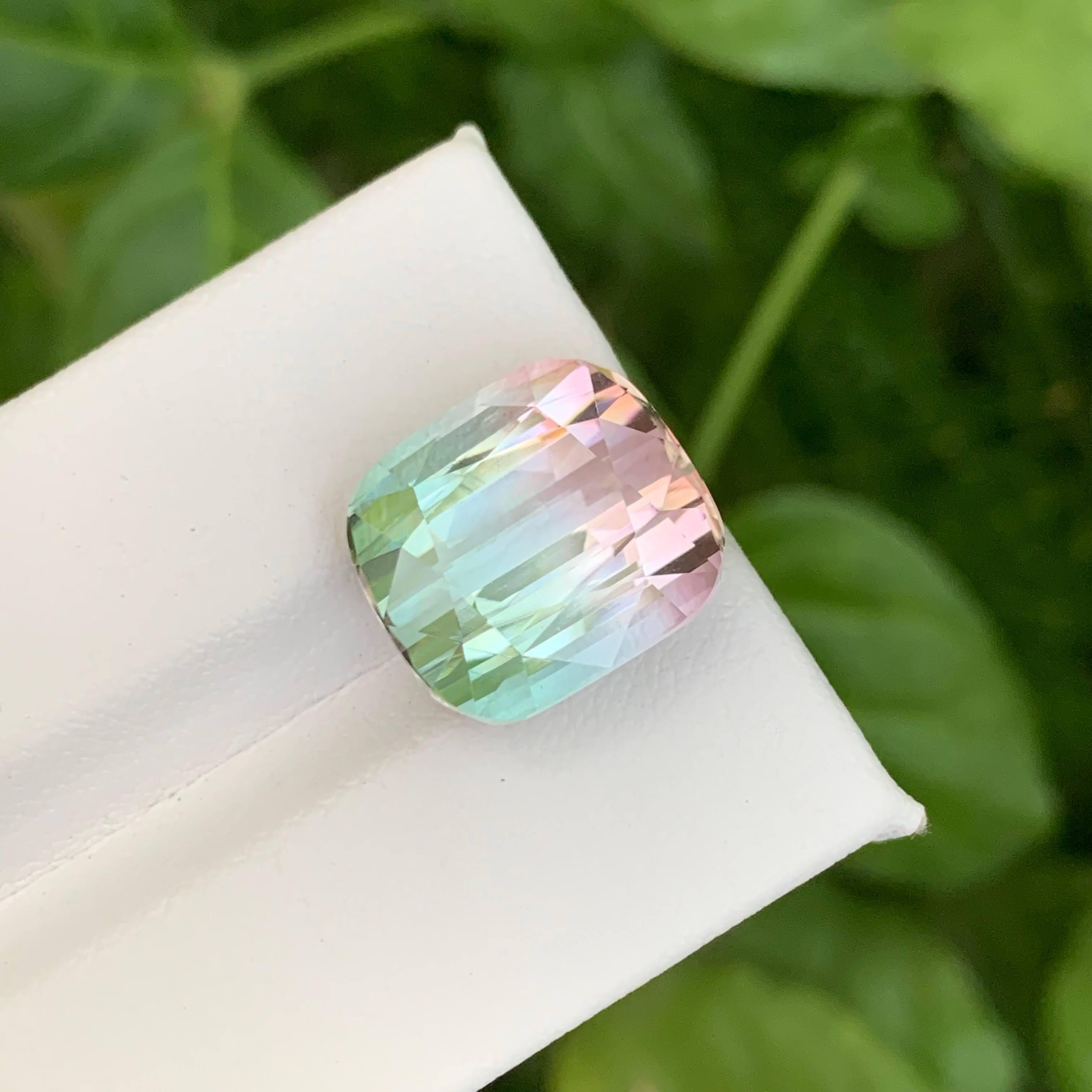13.10 Carat Natural Loose Bi Color Watermelon Tourmaline Cushion Cut Afghan Gem en vente 5