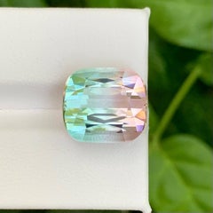 13.10 Carat Natural Loose Bi Color Watermelon Tourmaline Cushion Cut Afghan Gem