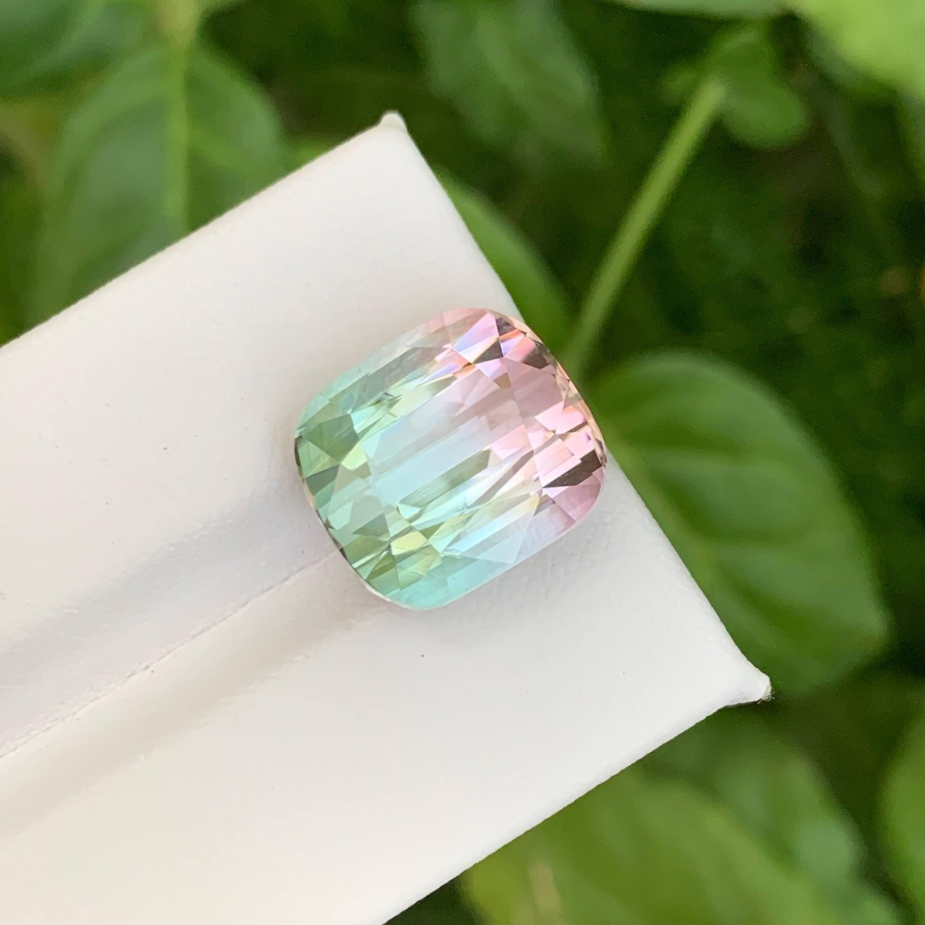 13.10 Carat Natural Loose Bi Color Watermelon Tourmaline Cushion Cut Afghan Gem en vente 1