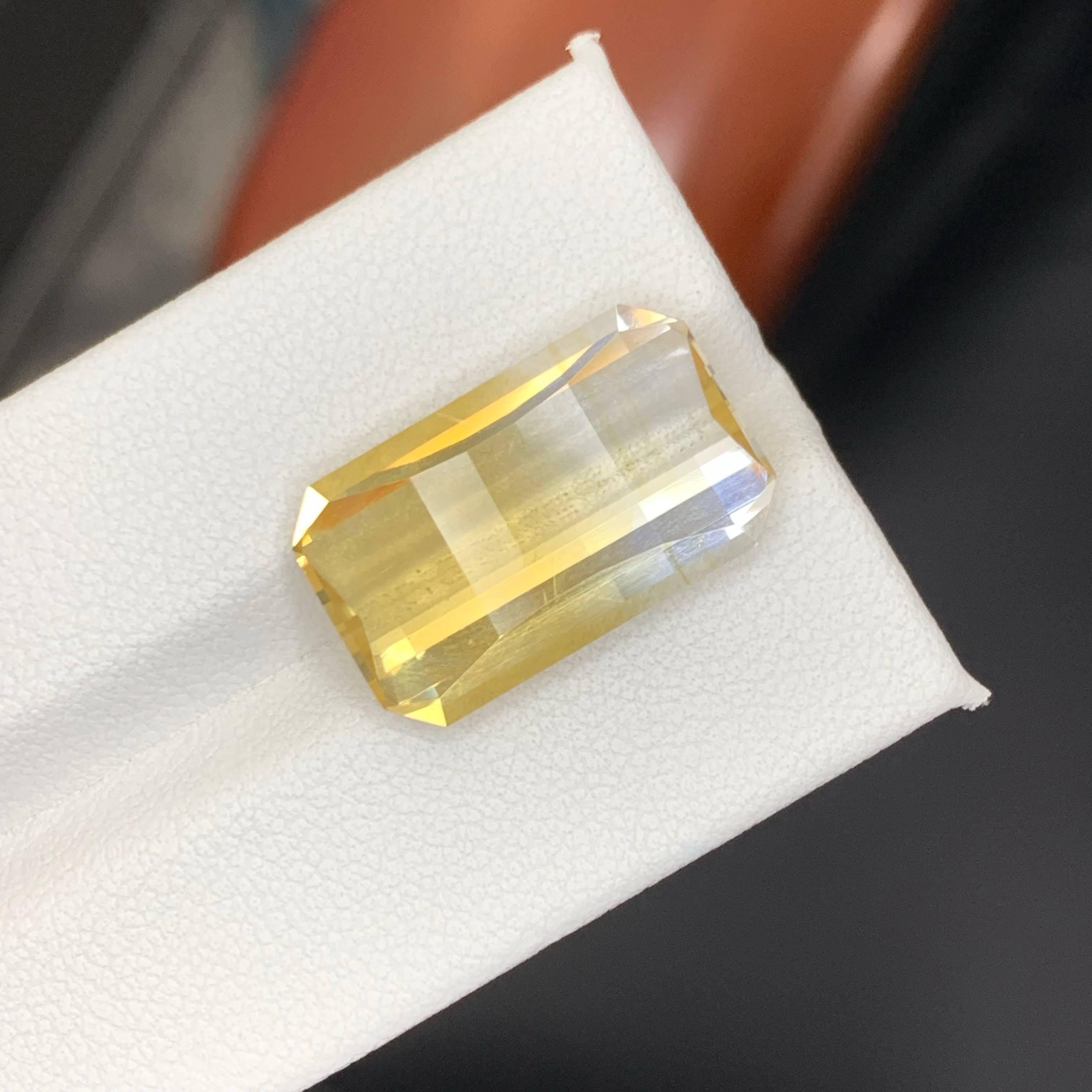 13.10 Carat Natural Loose Bicolor Yellow Citrine Pixel Cut Brazilian Gemstone en venta 4
