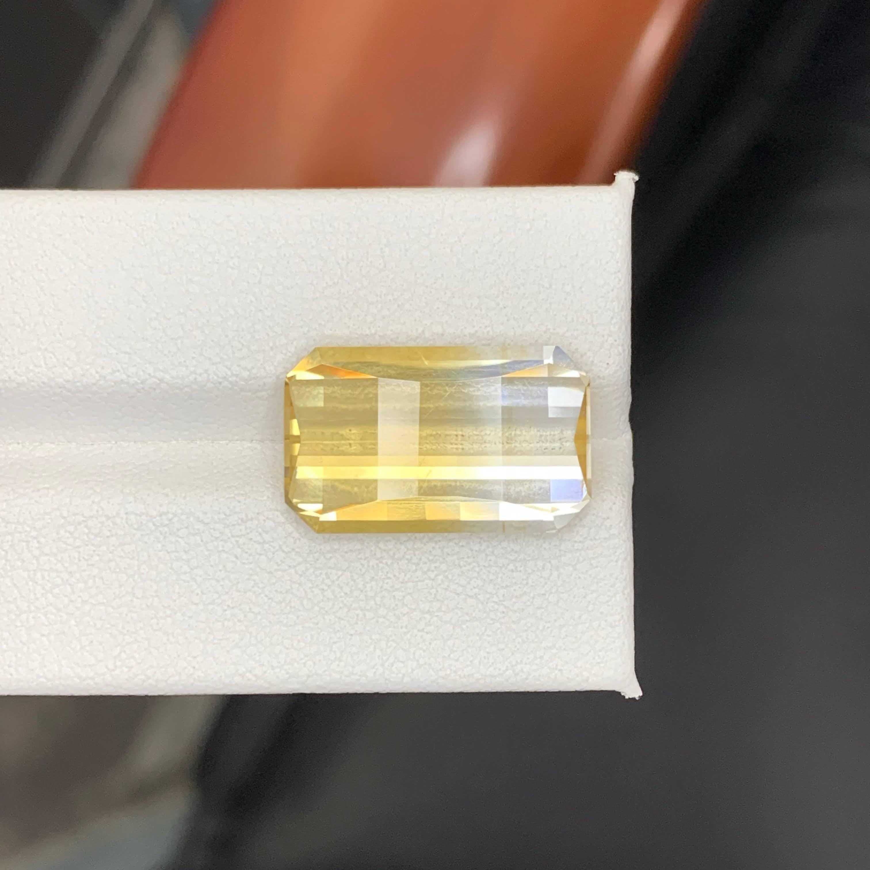 13.10 Carat Natural Loose Bicolor Yellow Citrine Pixel Cut Brazilian Gemstone en venta 5