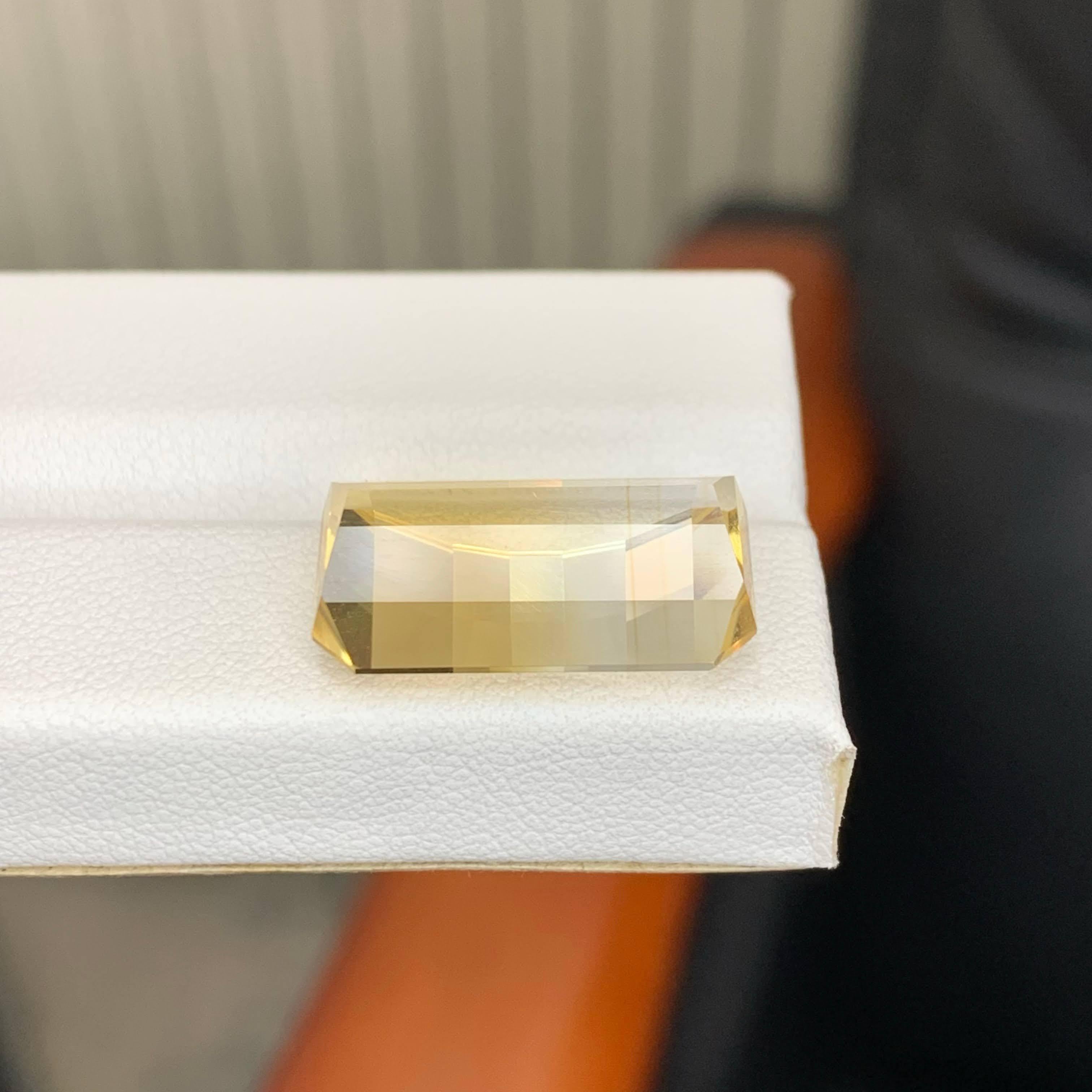 13.10 Carat Natural Loose Bicolor Yellow Citrine Pixel Cut Brazilian Gemstone en venta 3