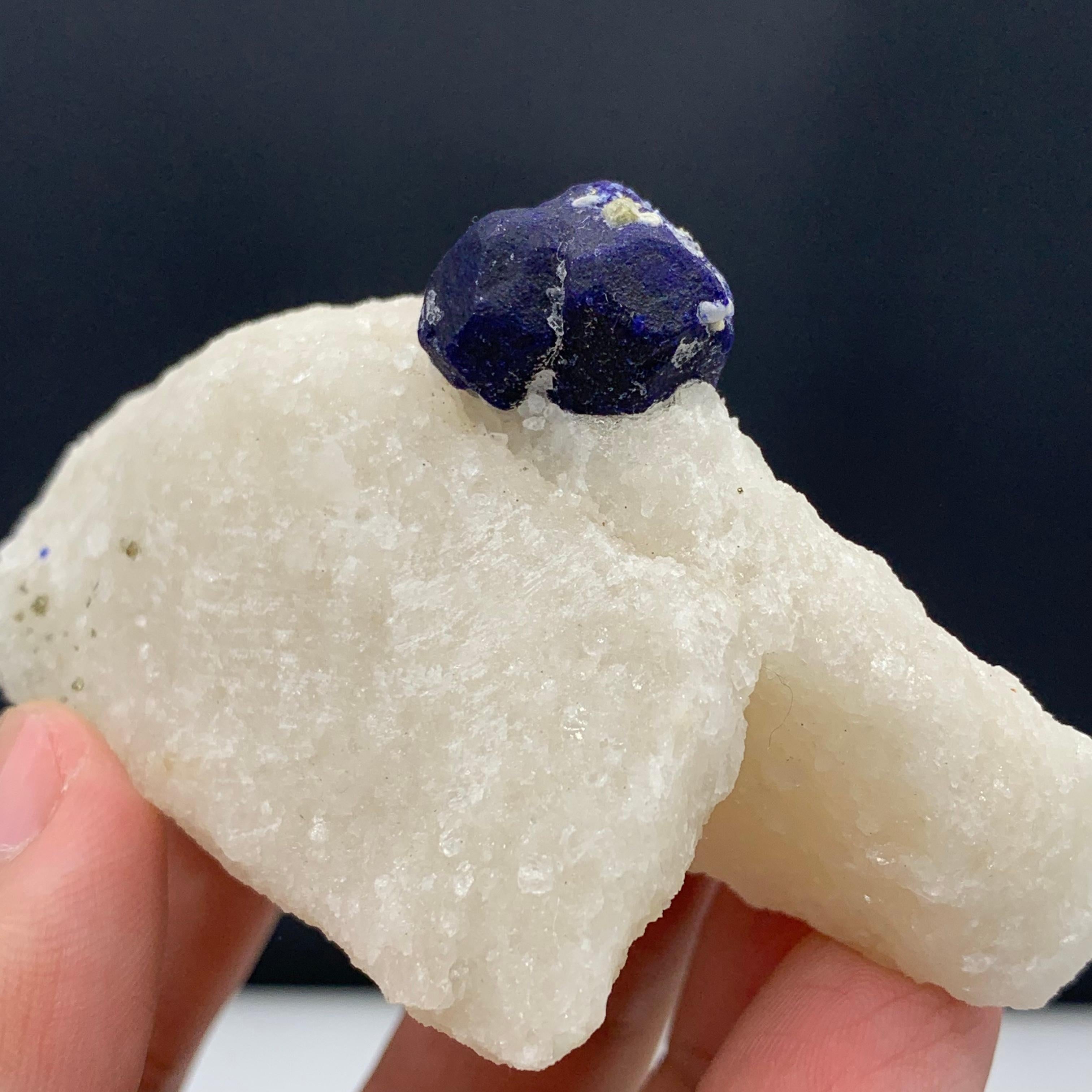 131.15 Gram Glamorous Isolated Lazurite Specimen On Creamy White Calcite Matrix For Sale 2