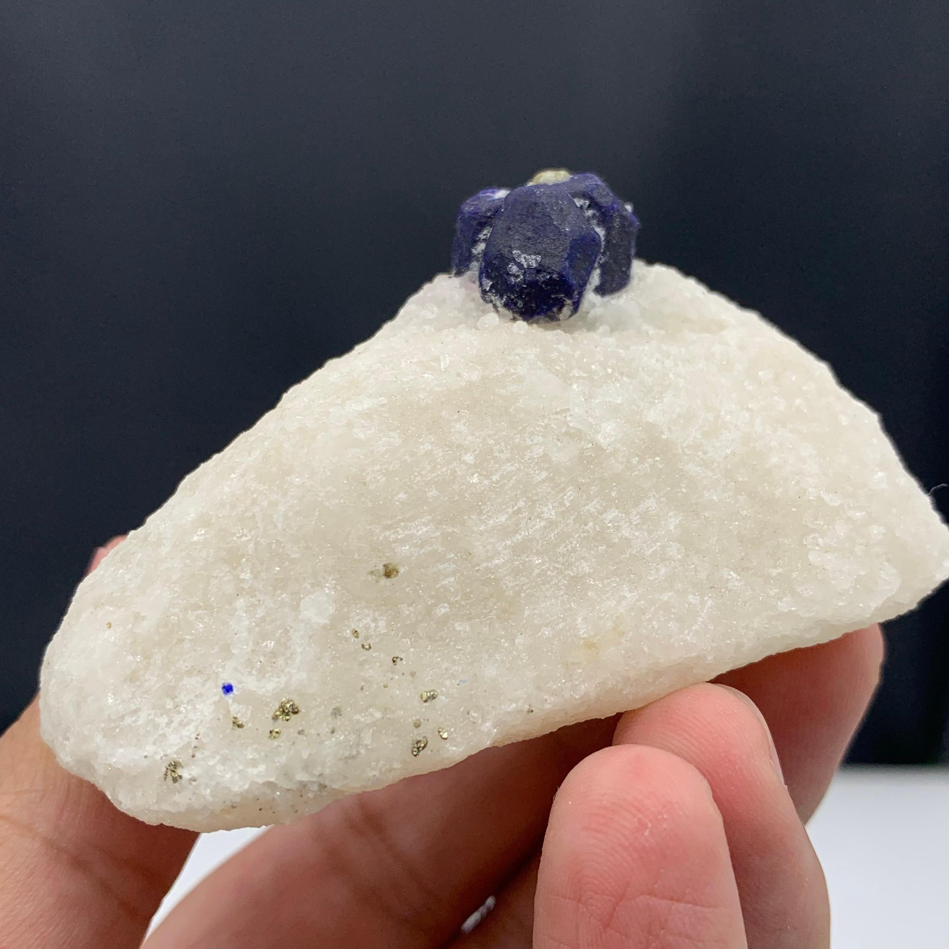 131.15 Gram Glamorous Isolated Lazurite Specimen On Creamy White Calcite Matrix For Sale 3
