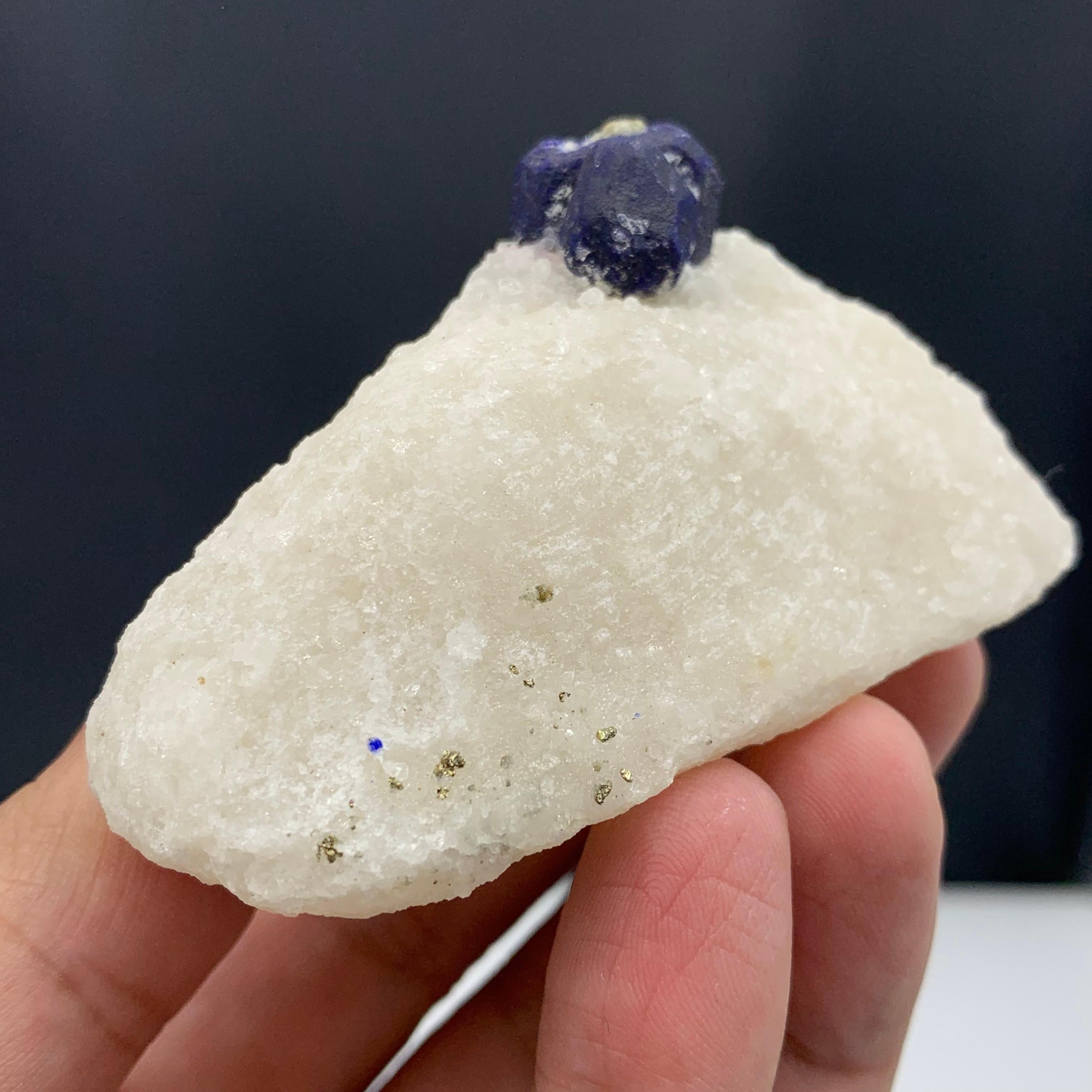 131.15 Gram Glamorous Isolated Lazurite Specimen On Creamy White Calcite Matrix For Sale 4