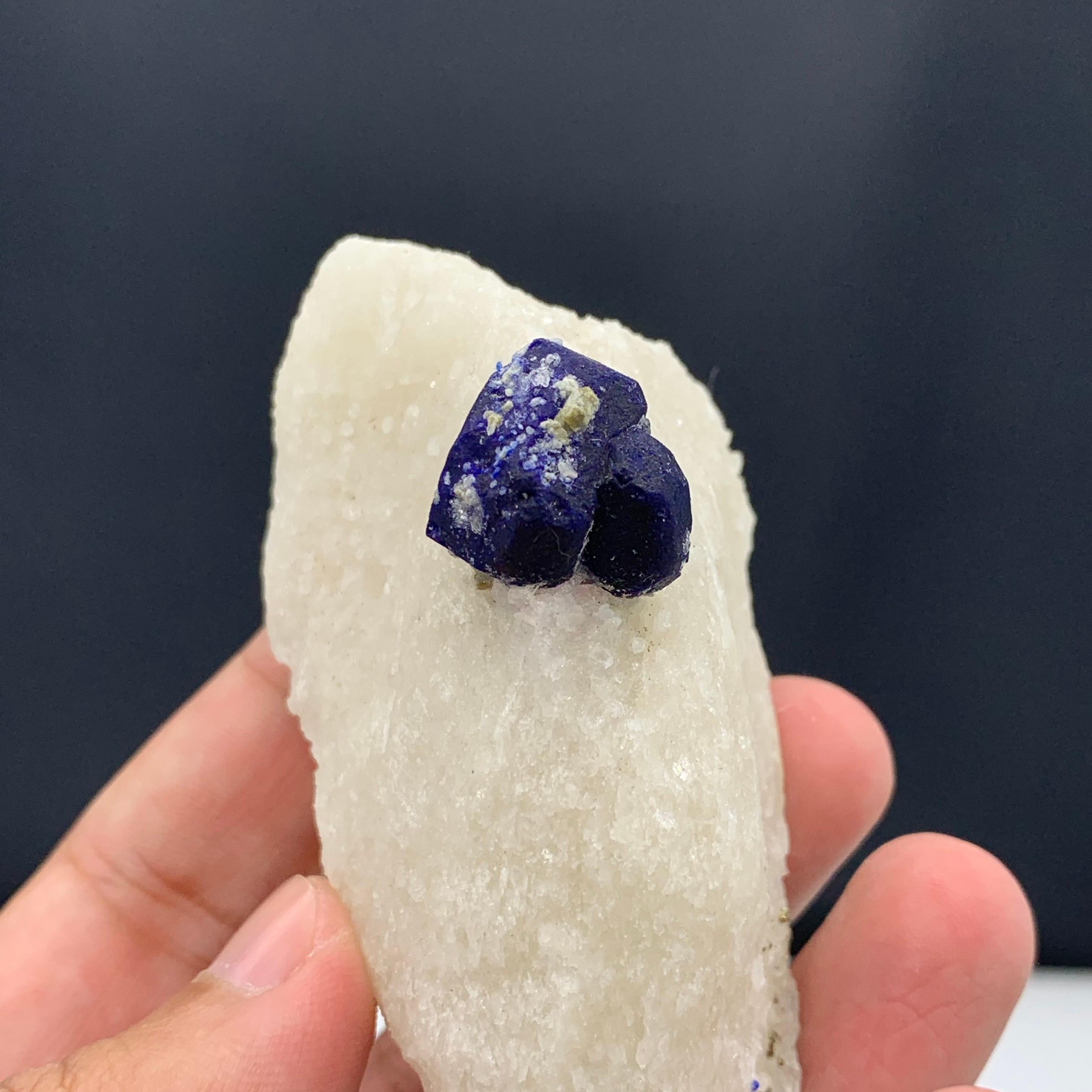 131.15 Gram Glamorous Isolated Lazurite Specimen On Creamy White Calcite Matrix For Sale 6