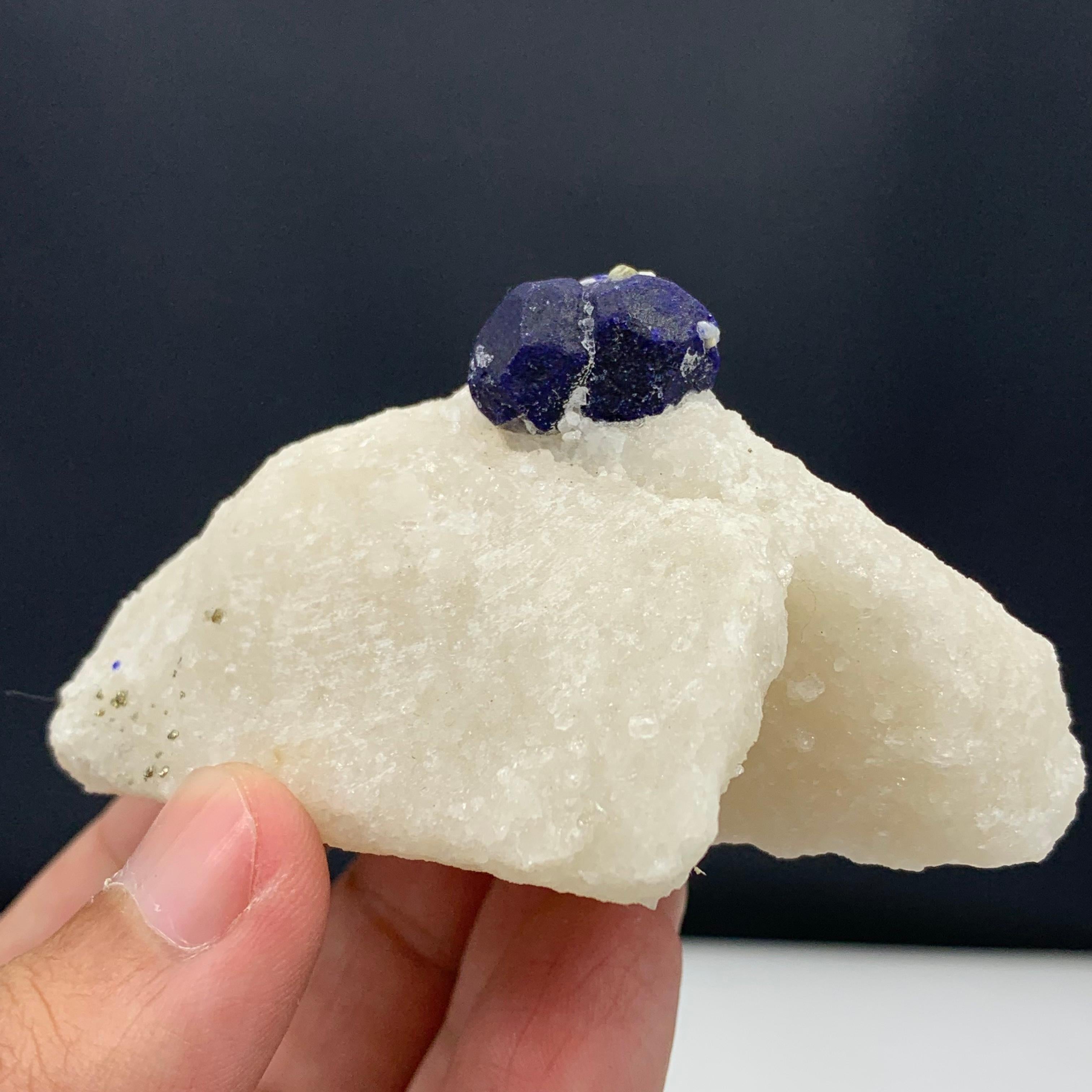 131.15 Gram Glamorous Isolated Lazurite Specimen On Creamy White Calcite Matrix For Sale 8