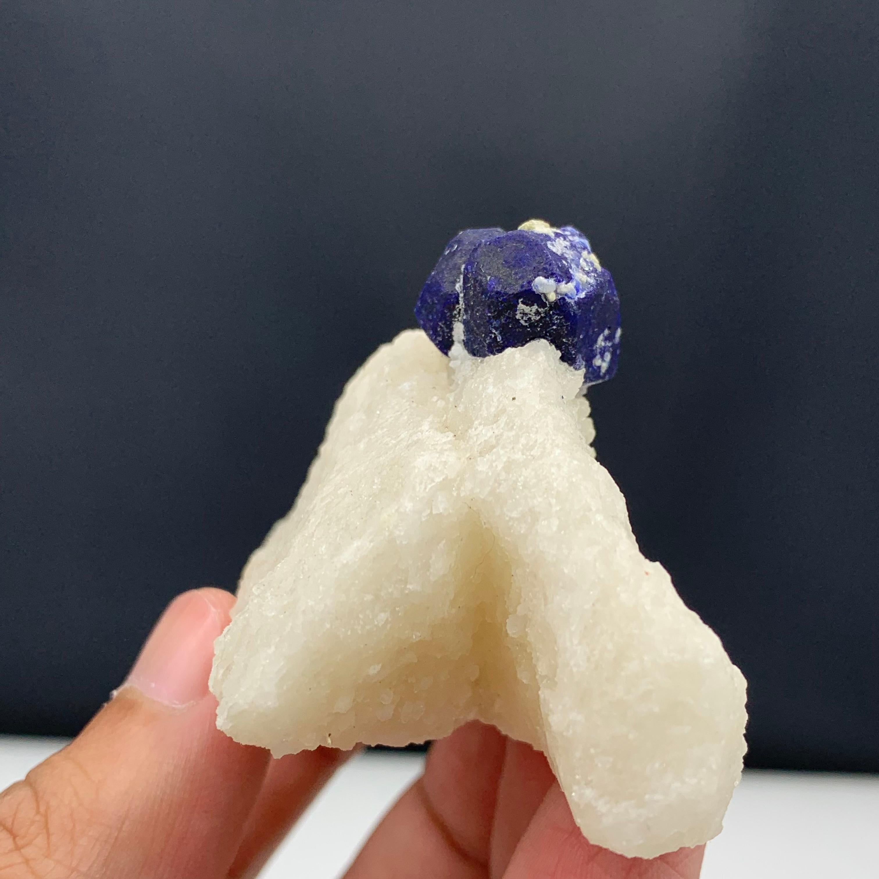 131.15 Gram Glamorous Isolated Lazurite Specimen On Creamy White Calcite Matrix For Sale 9
